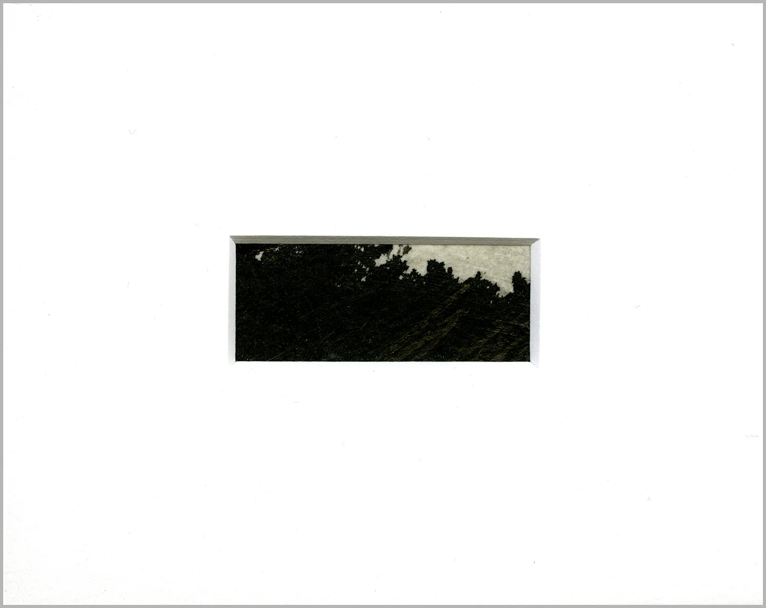 DP05-web-border.jpg