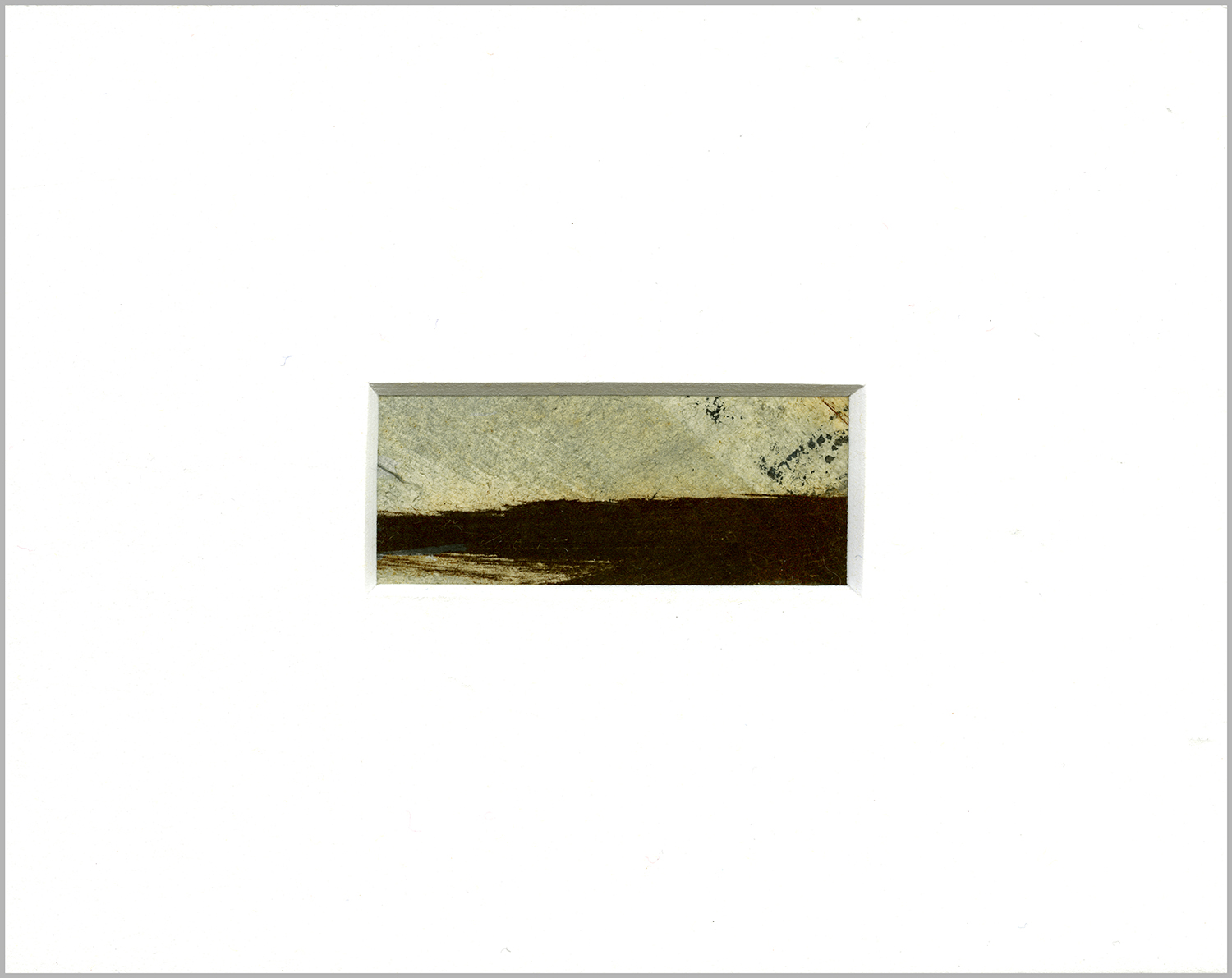 DP14-web-border.jpg