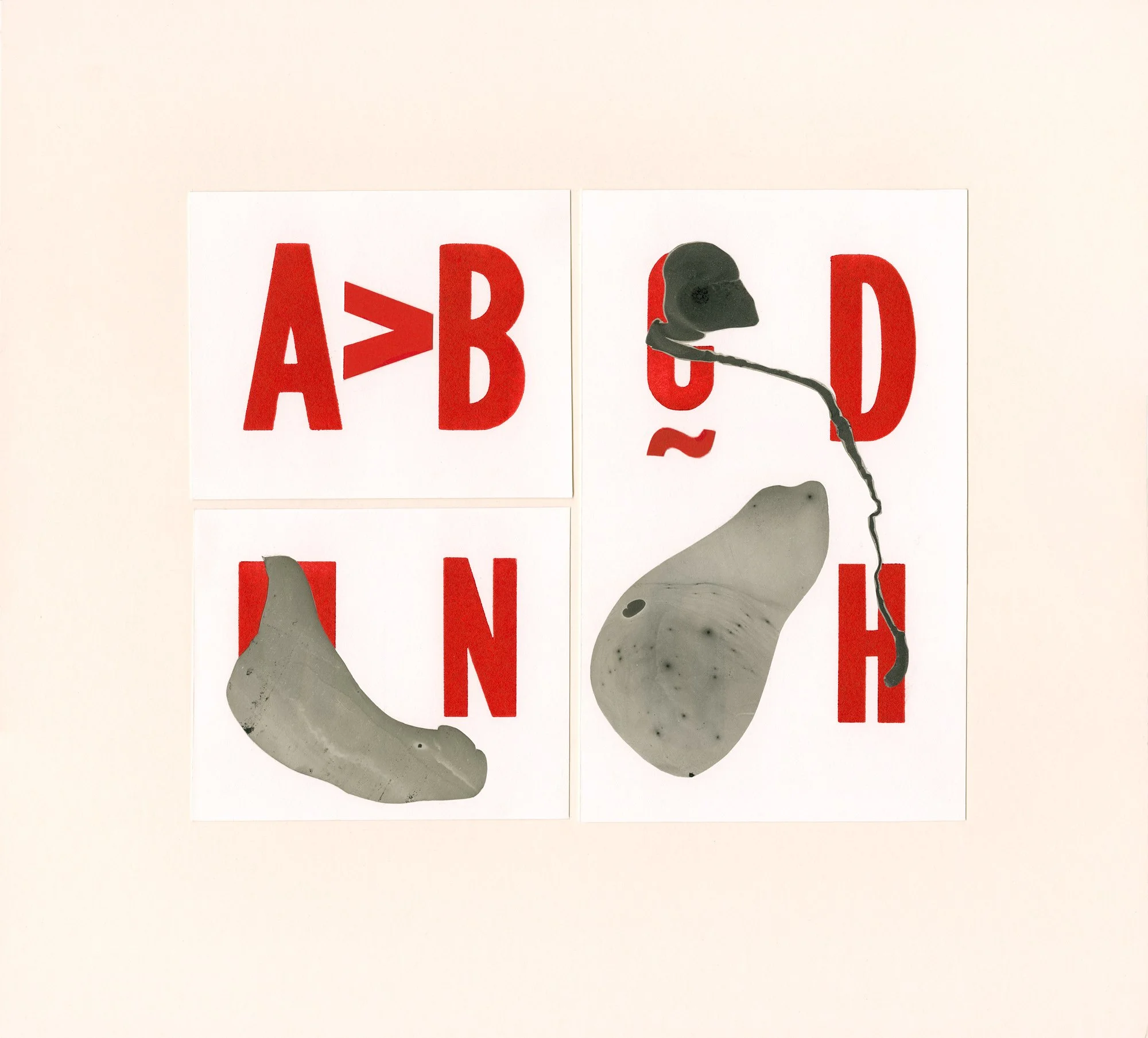 Lost Language No.6-To Wonder.jpg