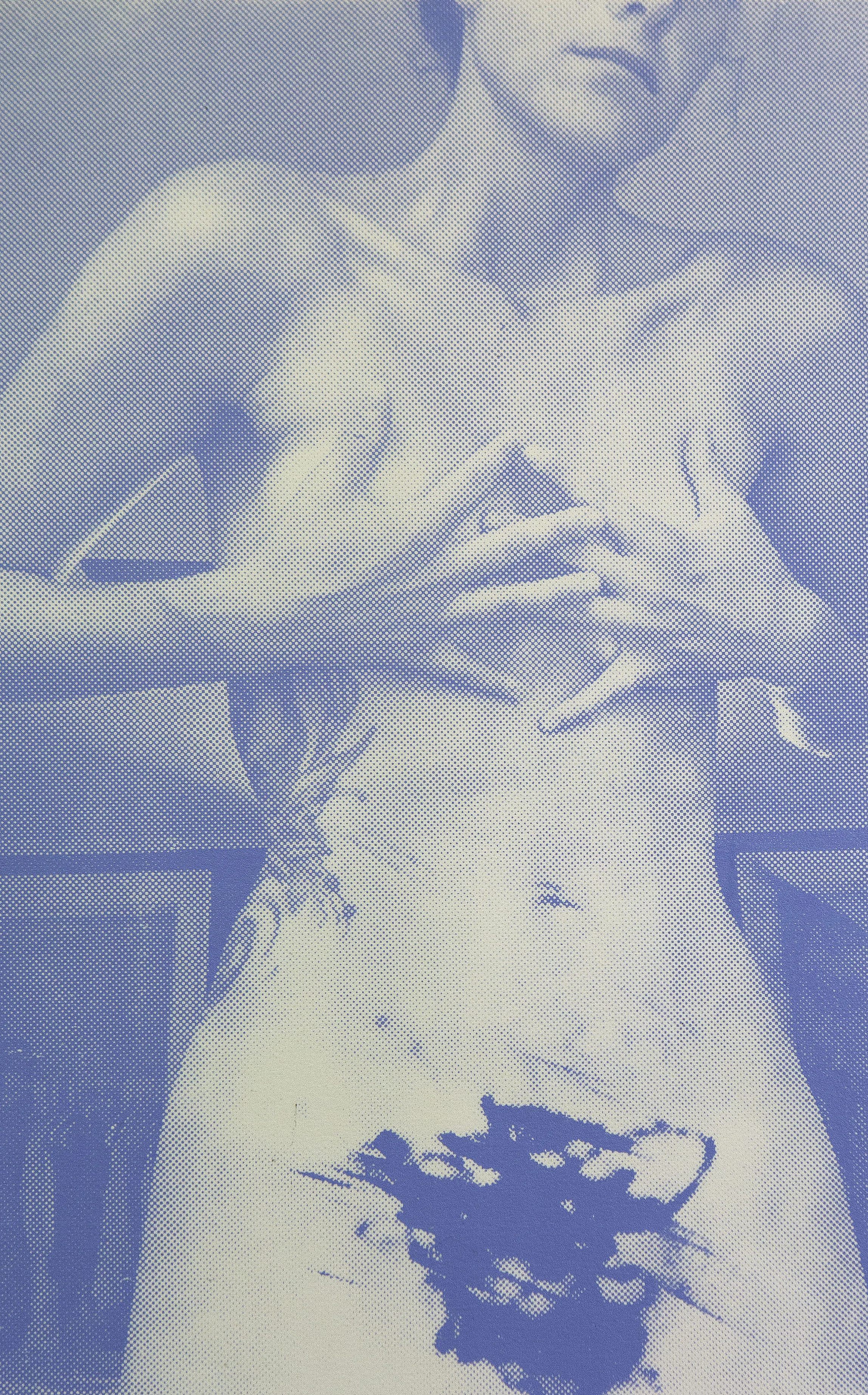Portrait V, Screenprint, 16.5x10.5", 2015