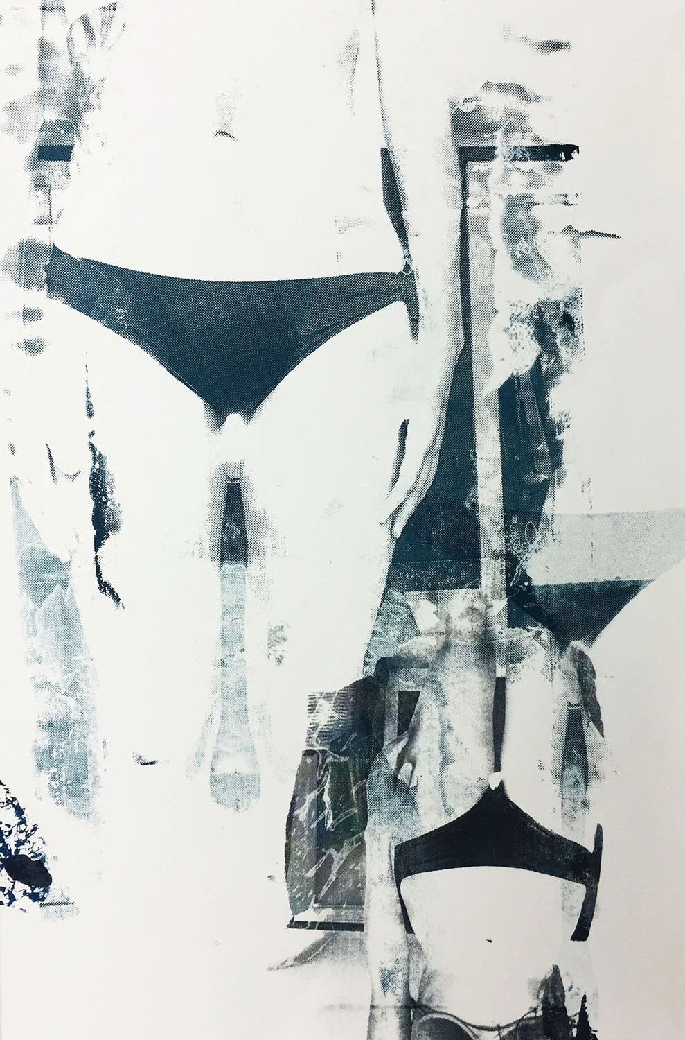 Portrait II , Screenprint, 30x20", 2016