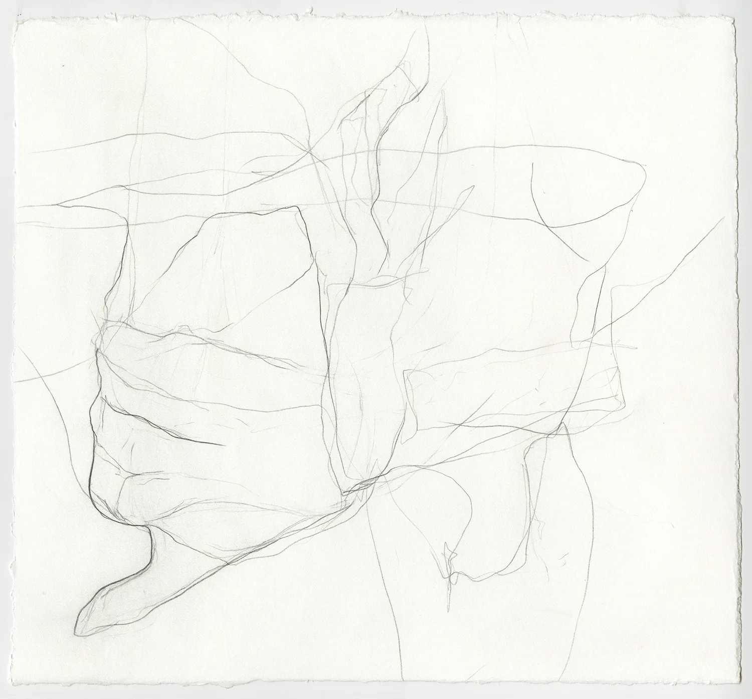 Clenched Hands Graphite on paper, 12x11”, 2018