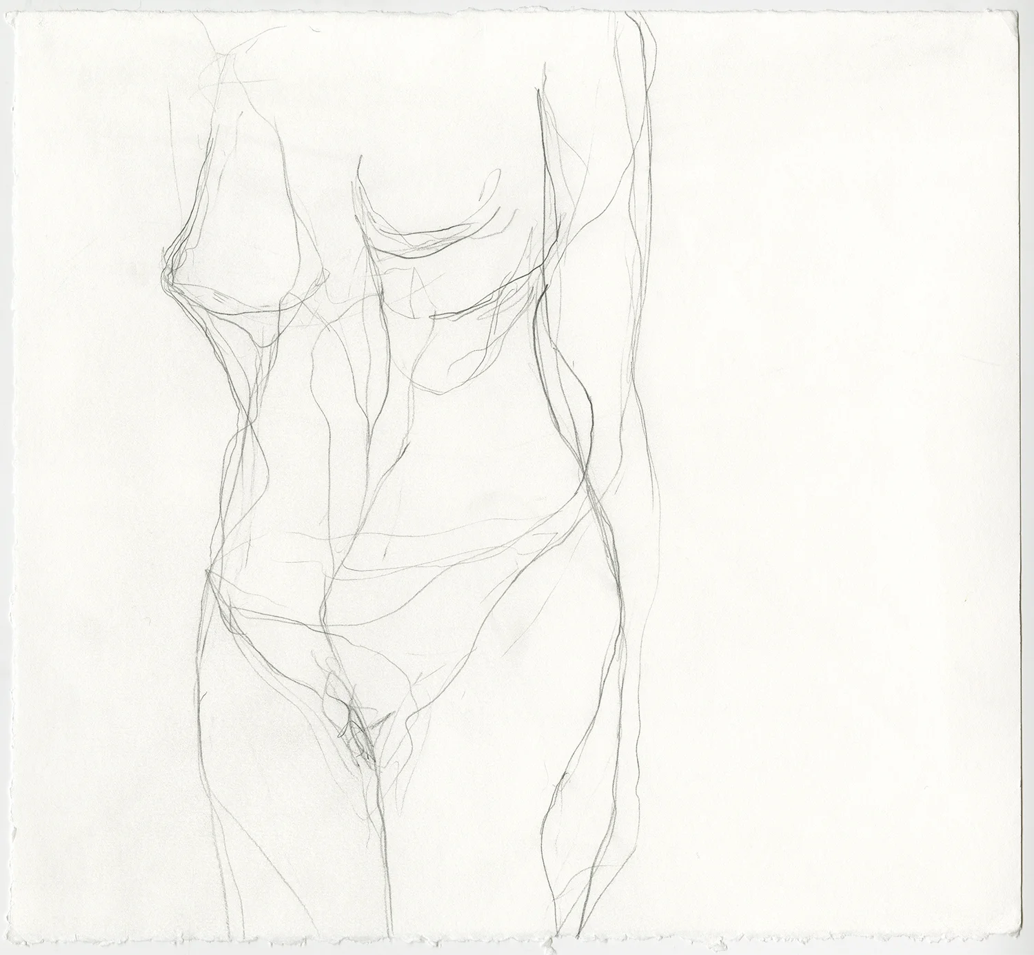 Hollow Graphite on paper, 12x11”, 2018