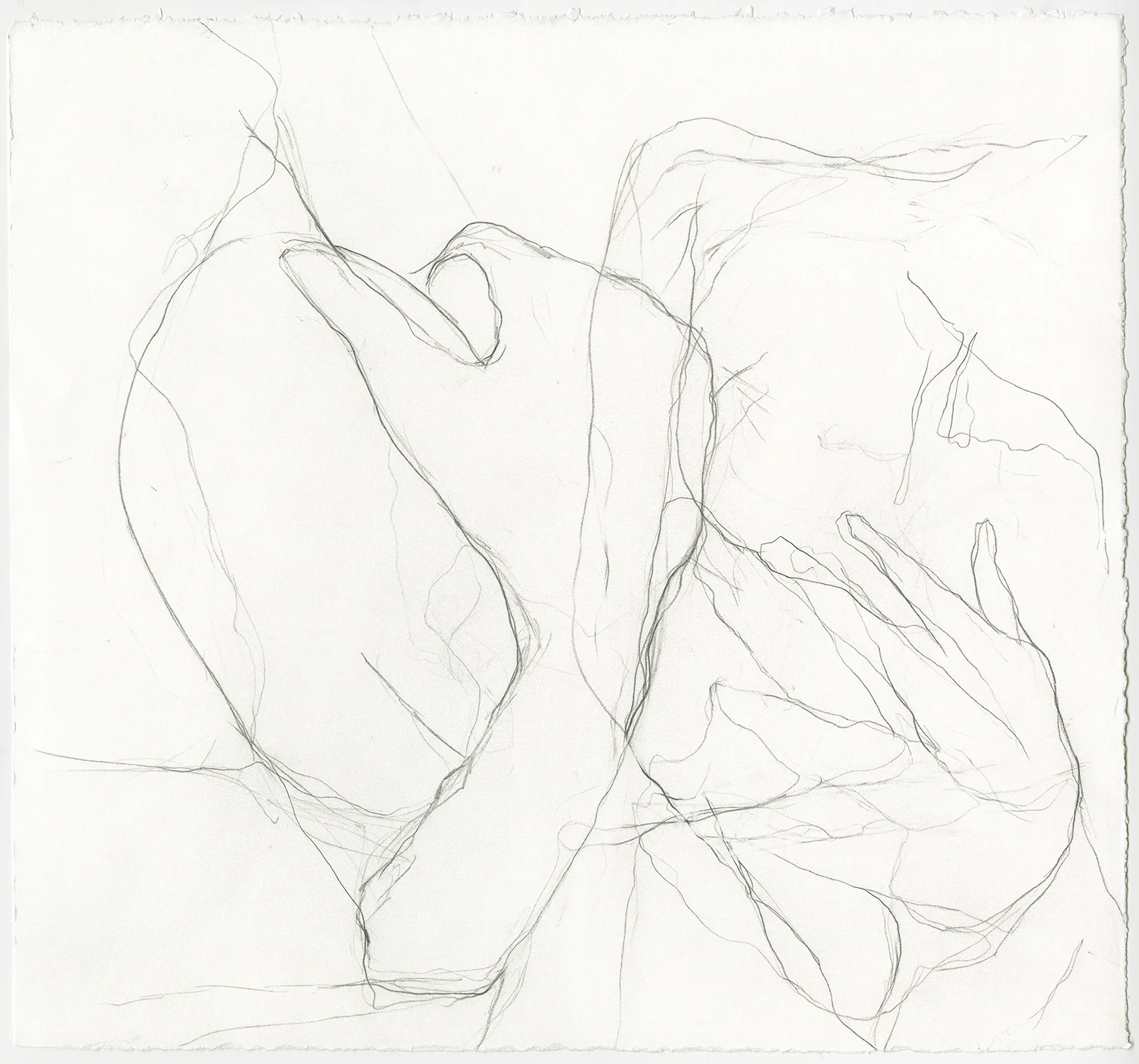 Hold Graphite on paper, 12x11”, 2018