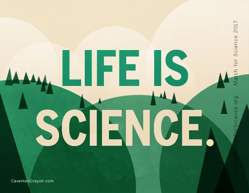 Forest Awareness
