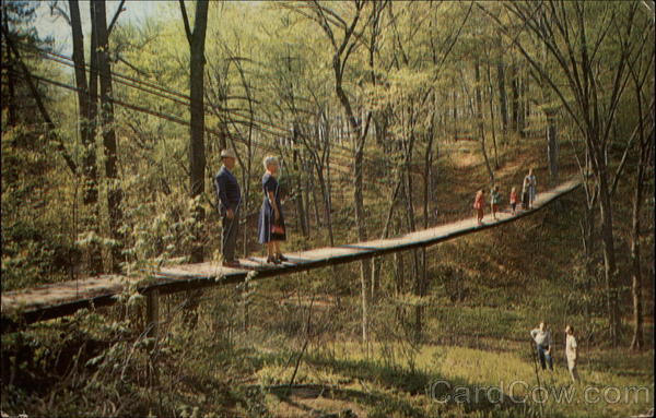 card00574_fr.jpg