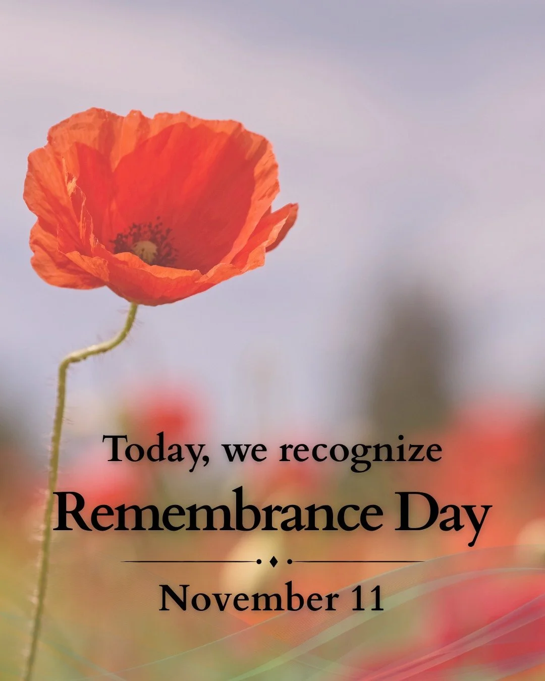 Today is November 11, a special day of remembrance and honour, when we show our respect and appreciation to Canada's serving and past armed forces members. 🇨🇦