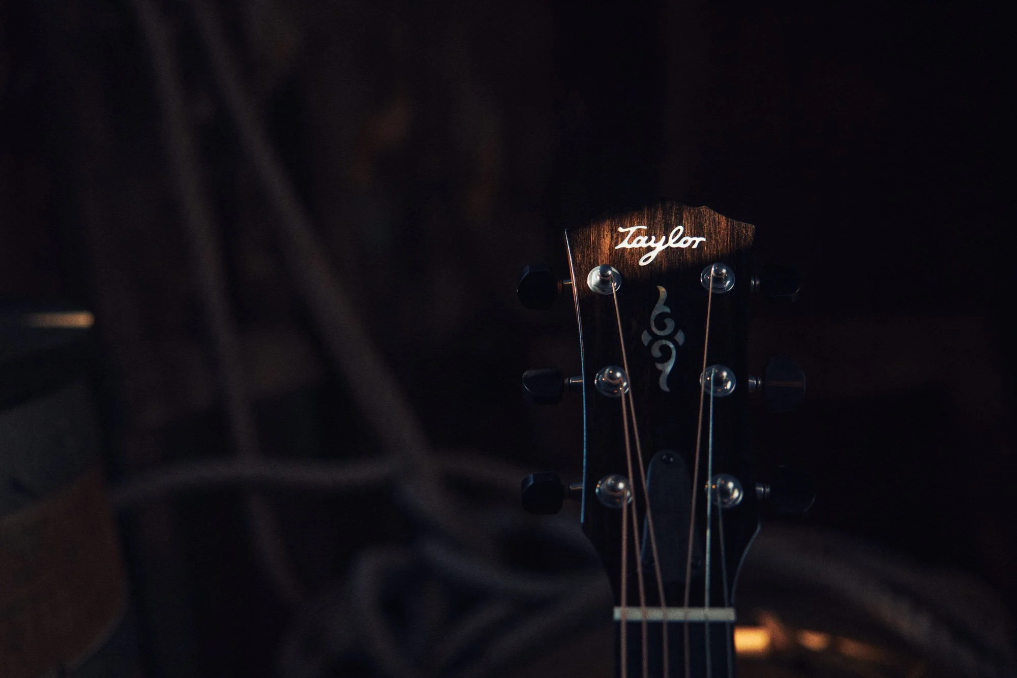 TAYLOR-ENV-11152024-GOLD LABEL-814e-Headstock.jpg
