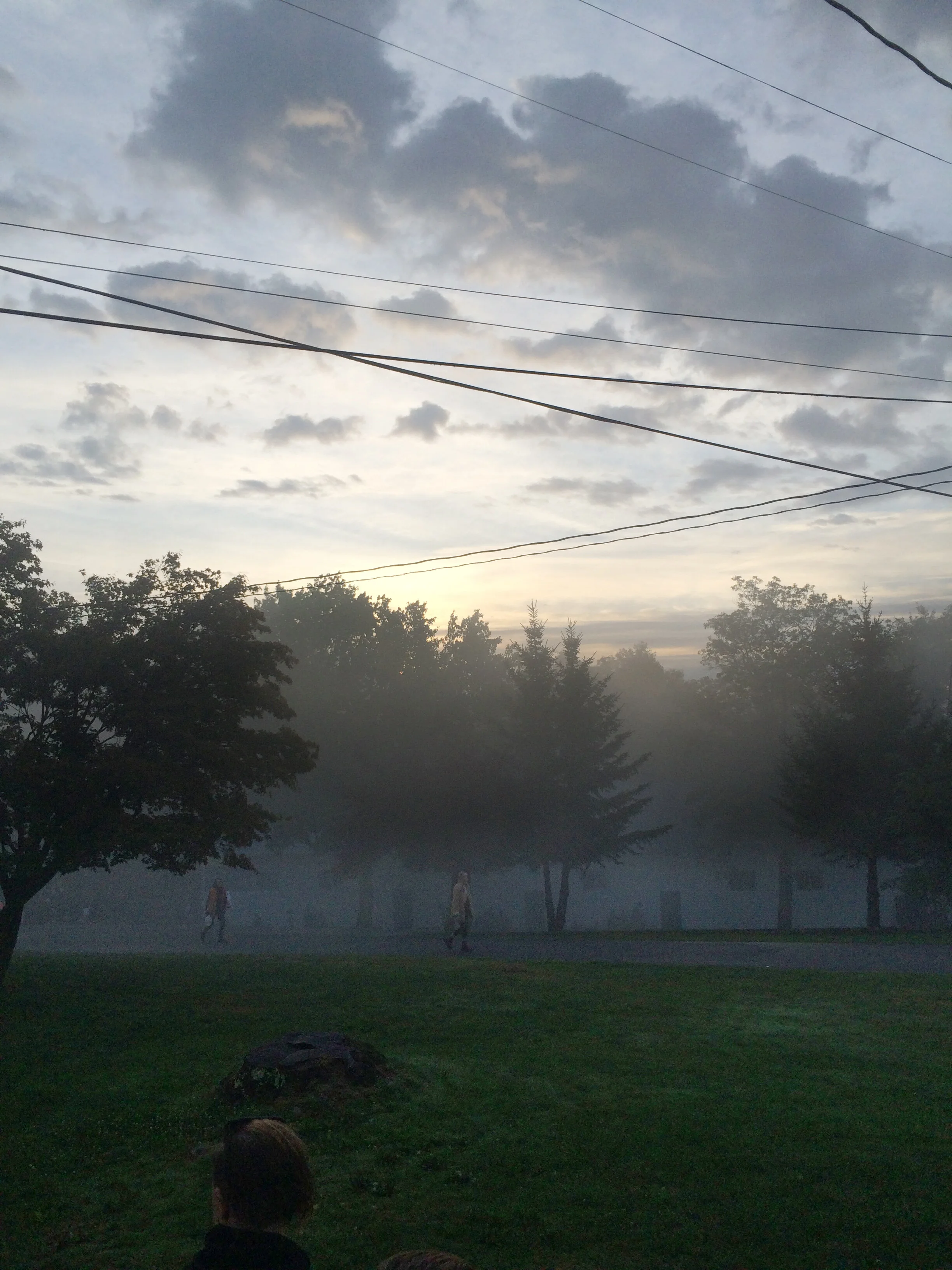 trees fog by Molly Smith.jpg