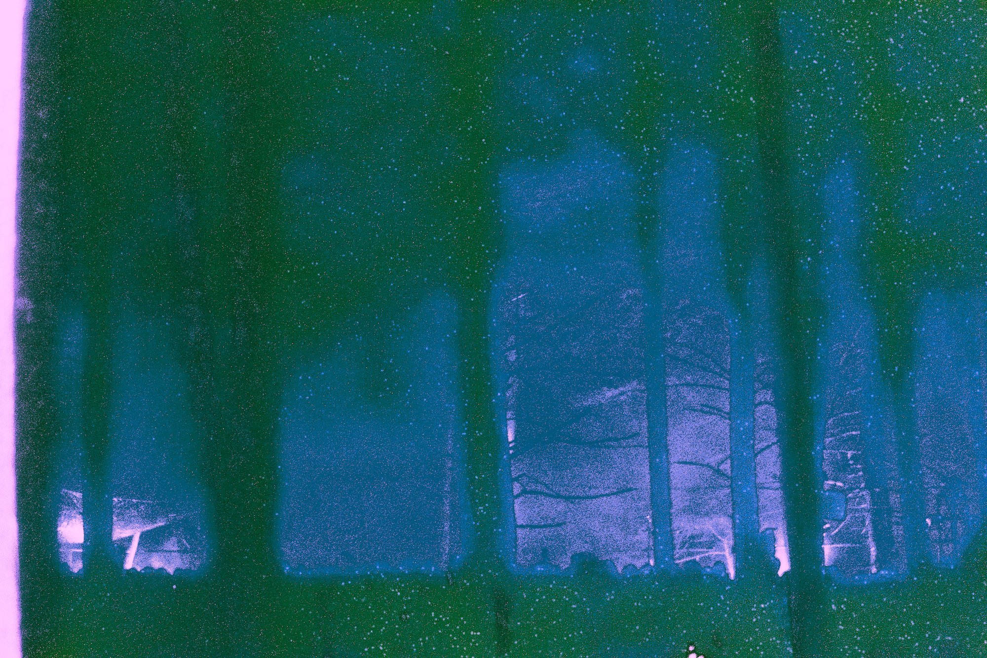 65.jpg