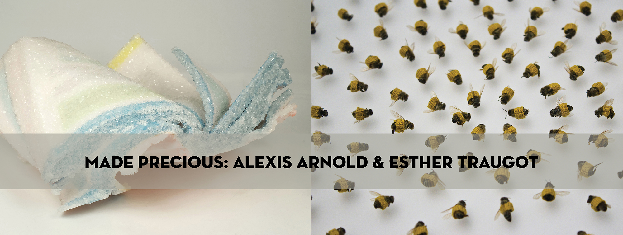 I am excited to be exhibiting at Napa Valley Museum with Esther Traugot ! My crystallized book series and a few other small sculptures are on display alongside Traugot’s crochet covered natural specimens from August 3 through September 18 in the Spotlight Gallery at the museum. "In Arnold and Traugot’s work objects both natural and man-made are made precious by encapsulating them in crystal and fiber. Their coverings act as eulogies to the fading culture of hardcopy books and to the dead representative bodies of a species in crisis. In their practices each artist transforms and elevates their subject, encouraging observation and attention." - Meagan Doud, Curator, Napa Valley Museum