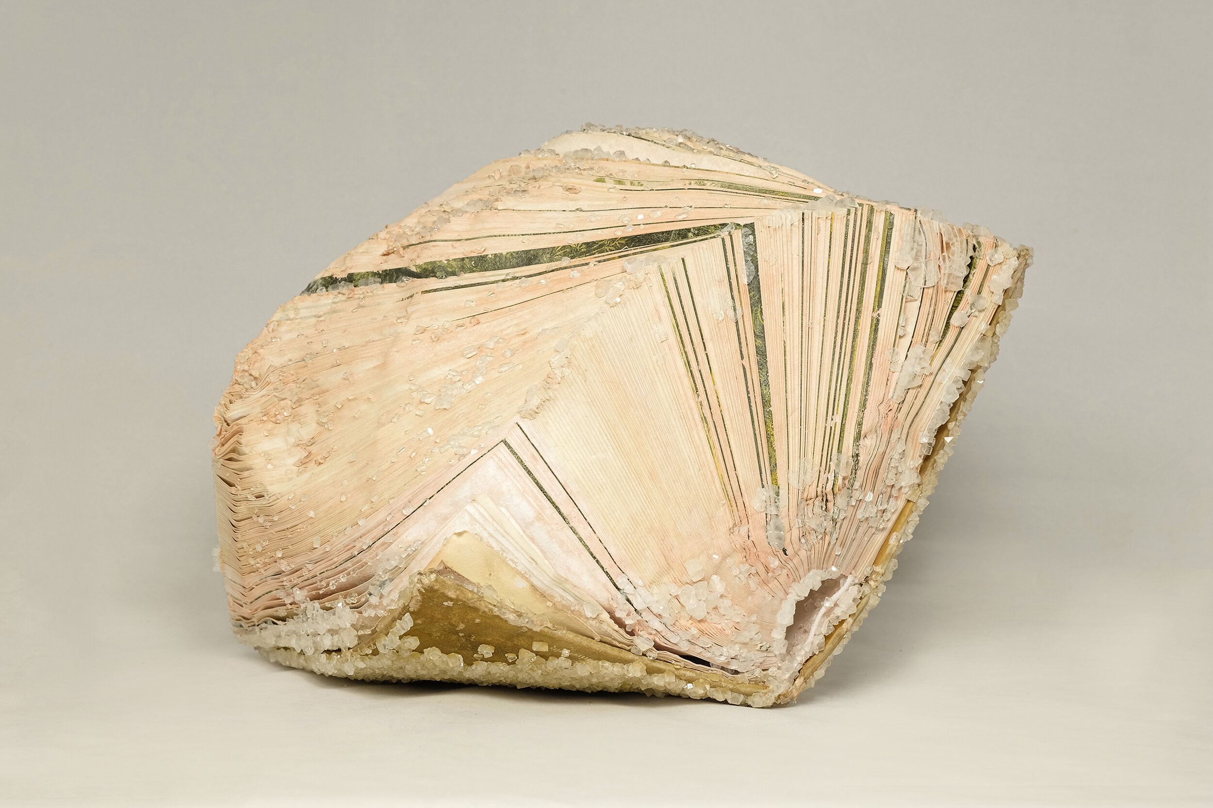 The Book of Palms