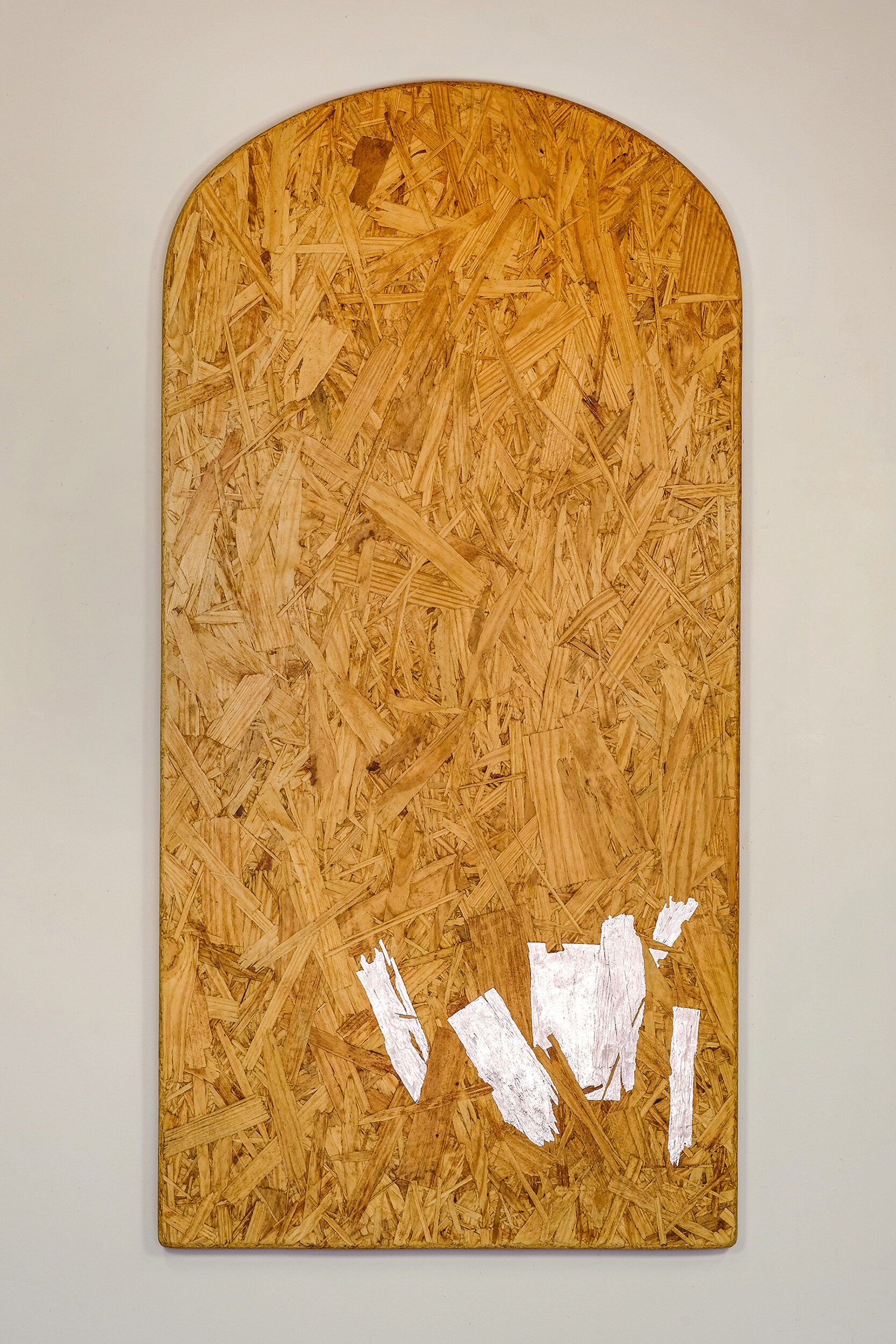 Petrified Wood Panel No. 2 (Arch)
