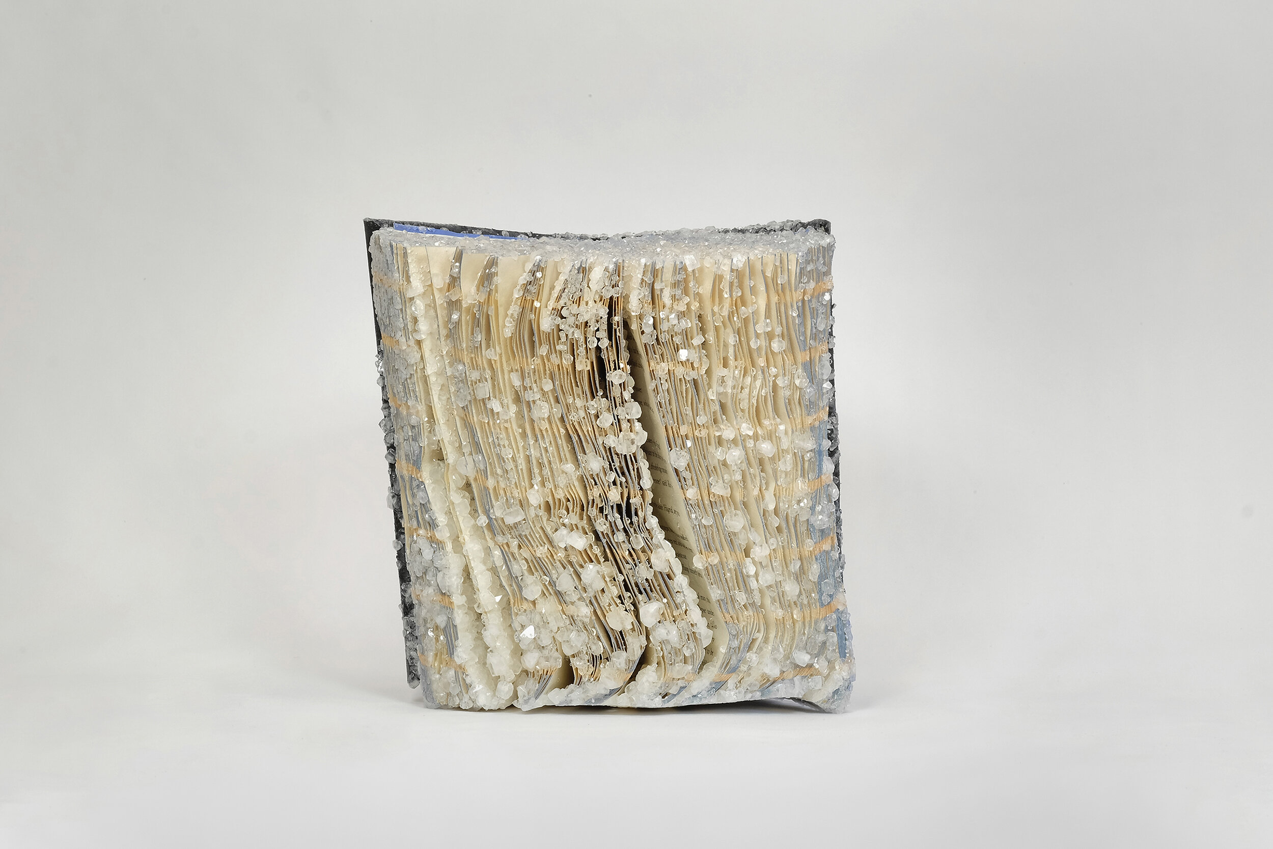 8.5 x 8.5 x 8 inches, 2021