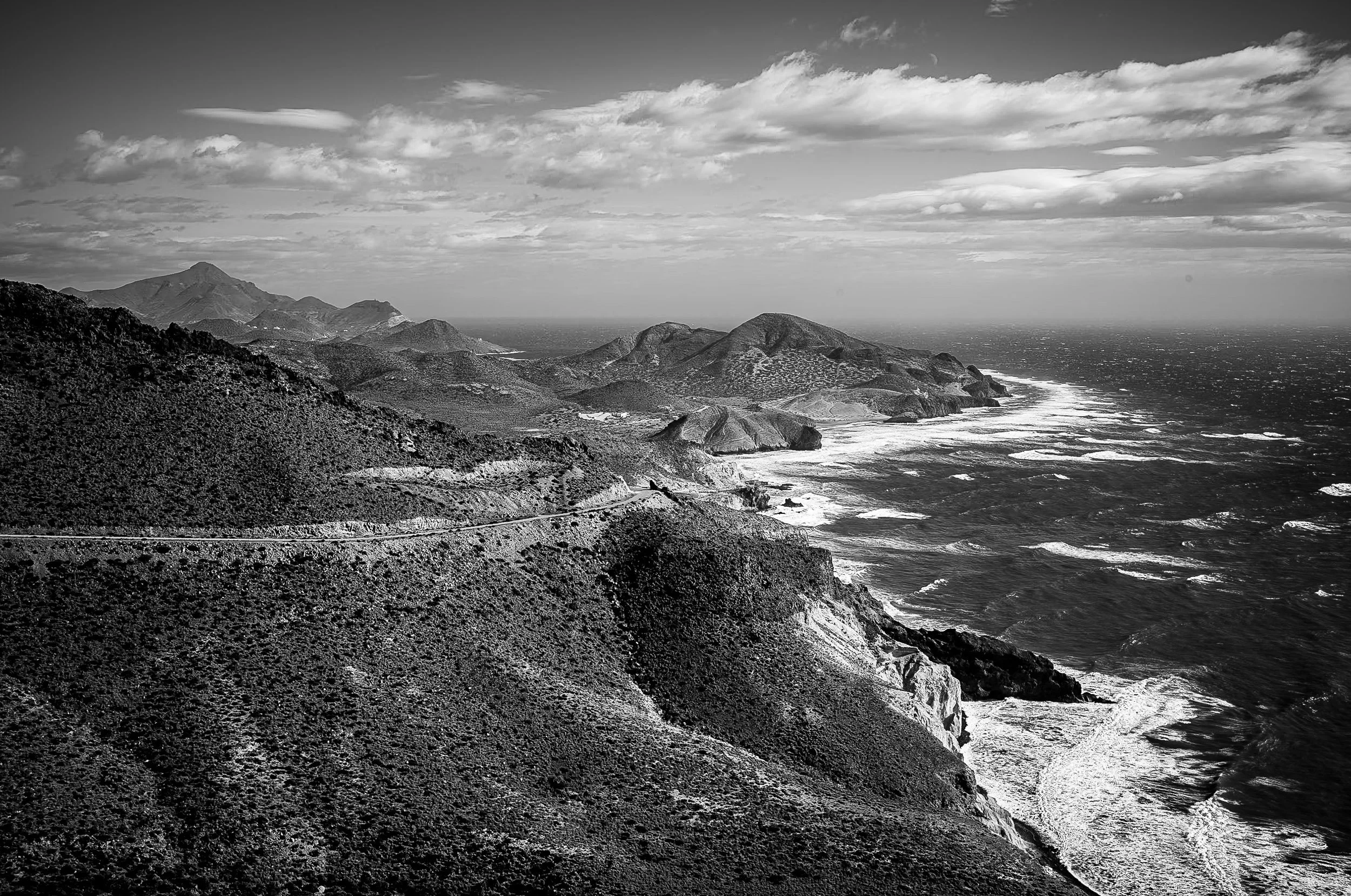 turley-20260125-LM11-1004477bw.jpg