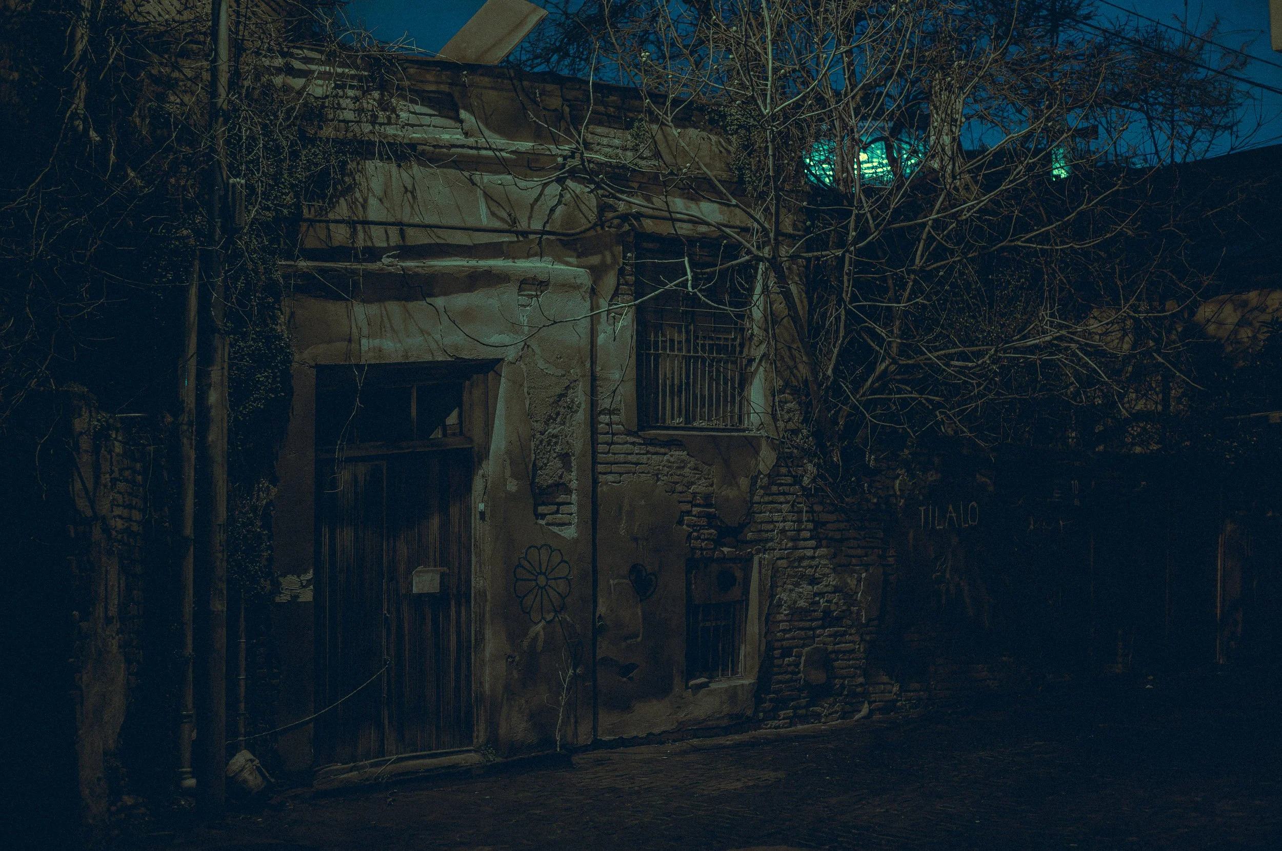 Tbilisi-05-turley-20260315-LM11-1008315.jpg