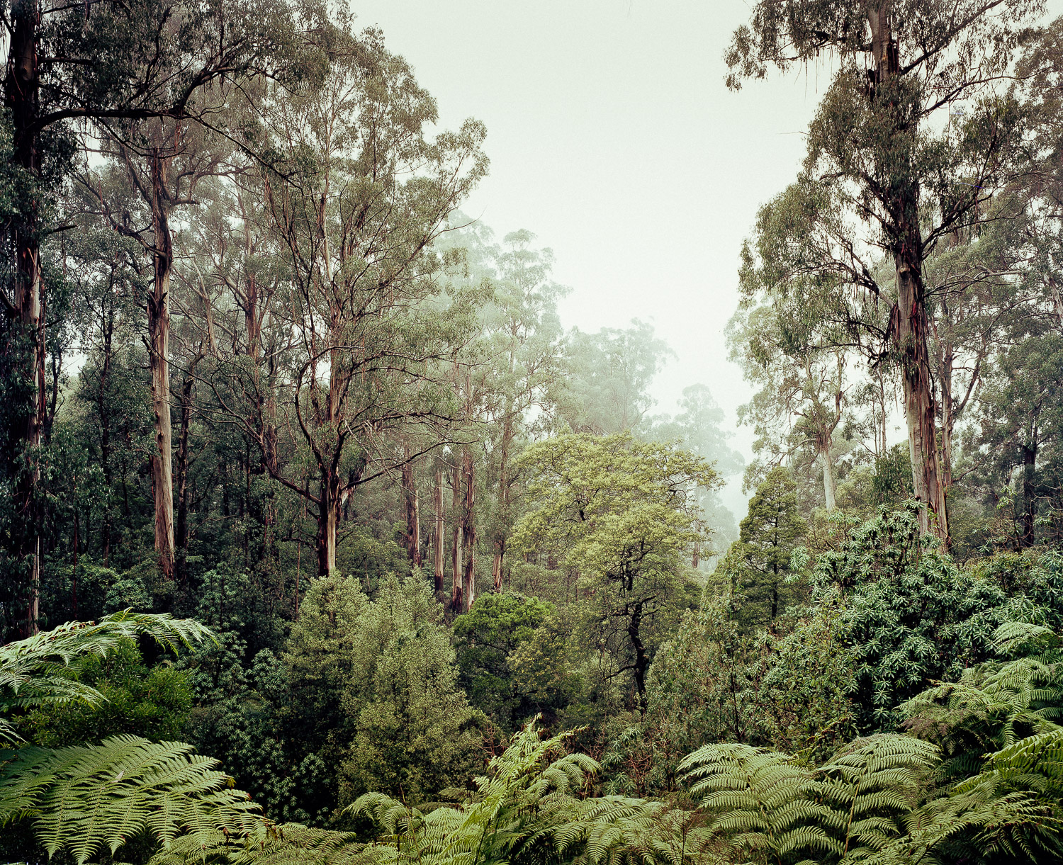 Great Ocean Road