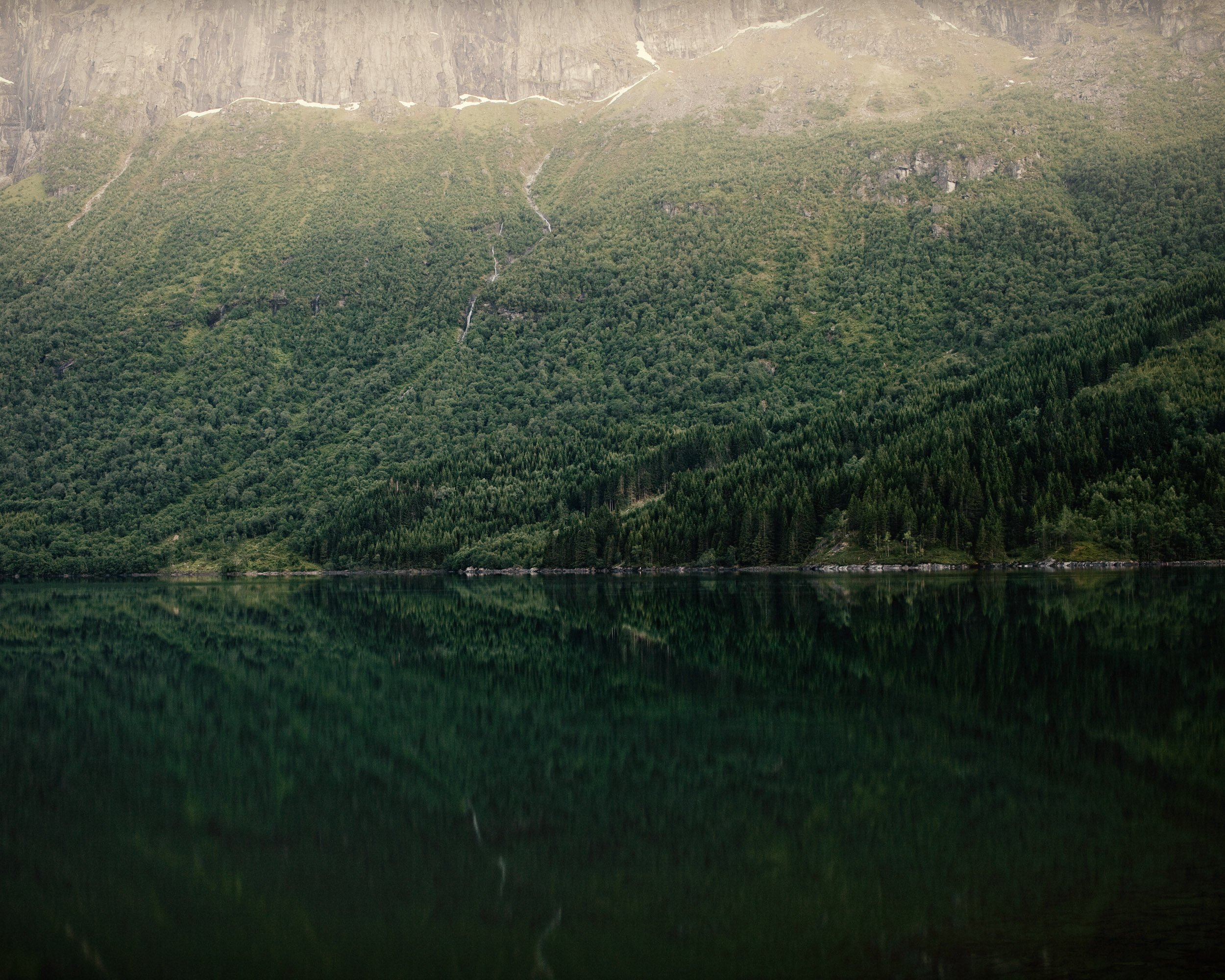 Stryn