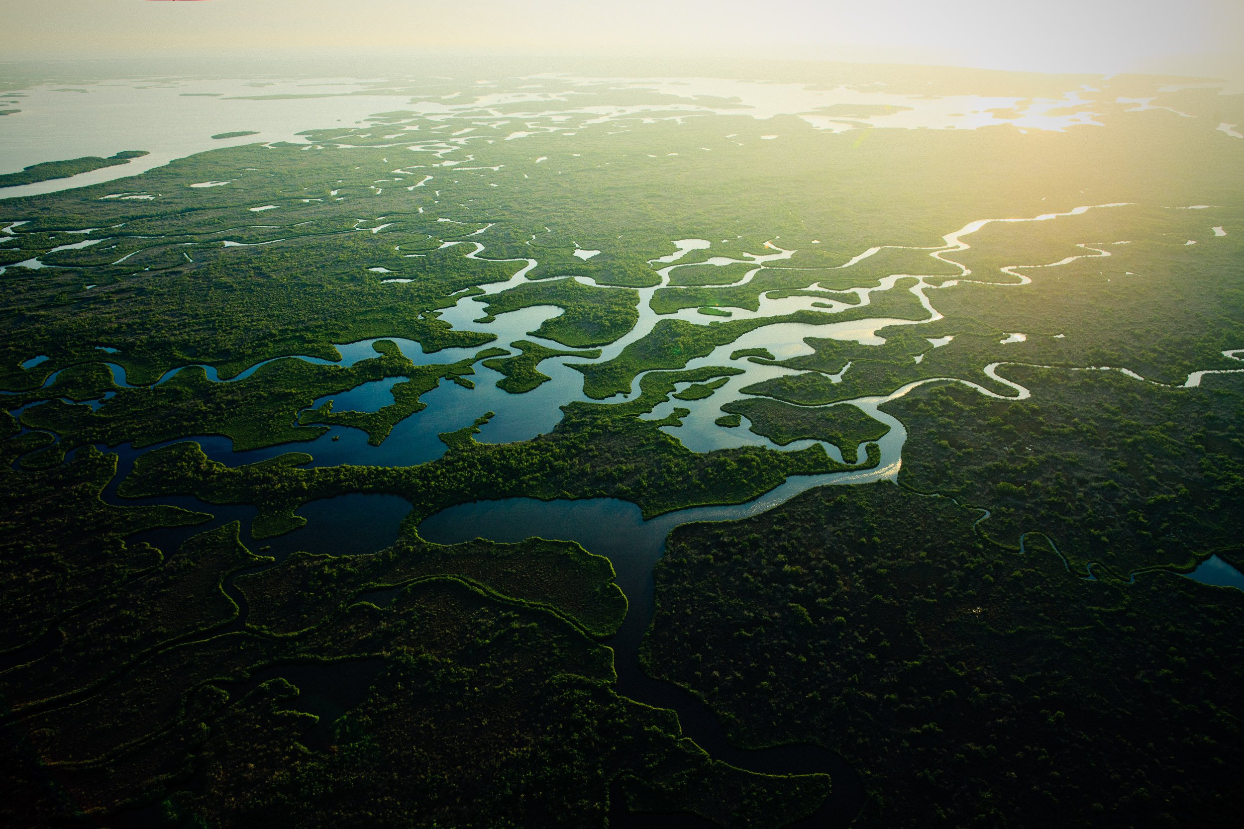 Everglades