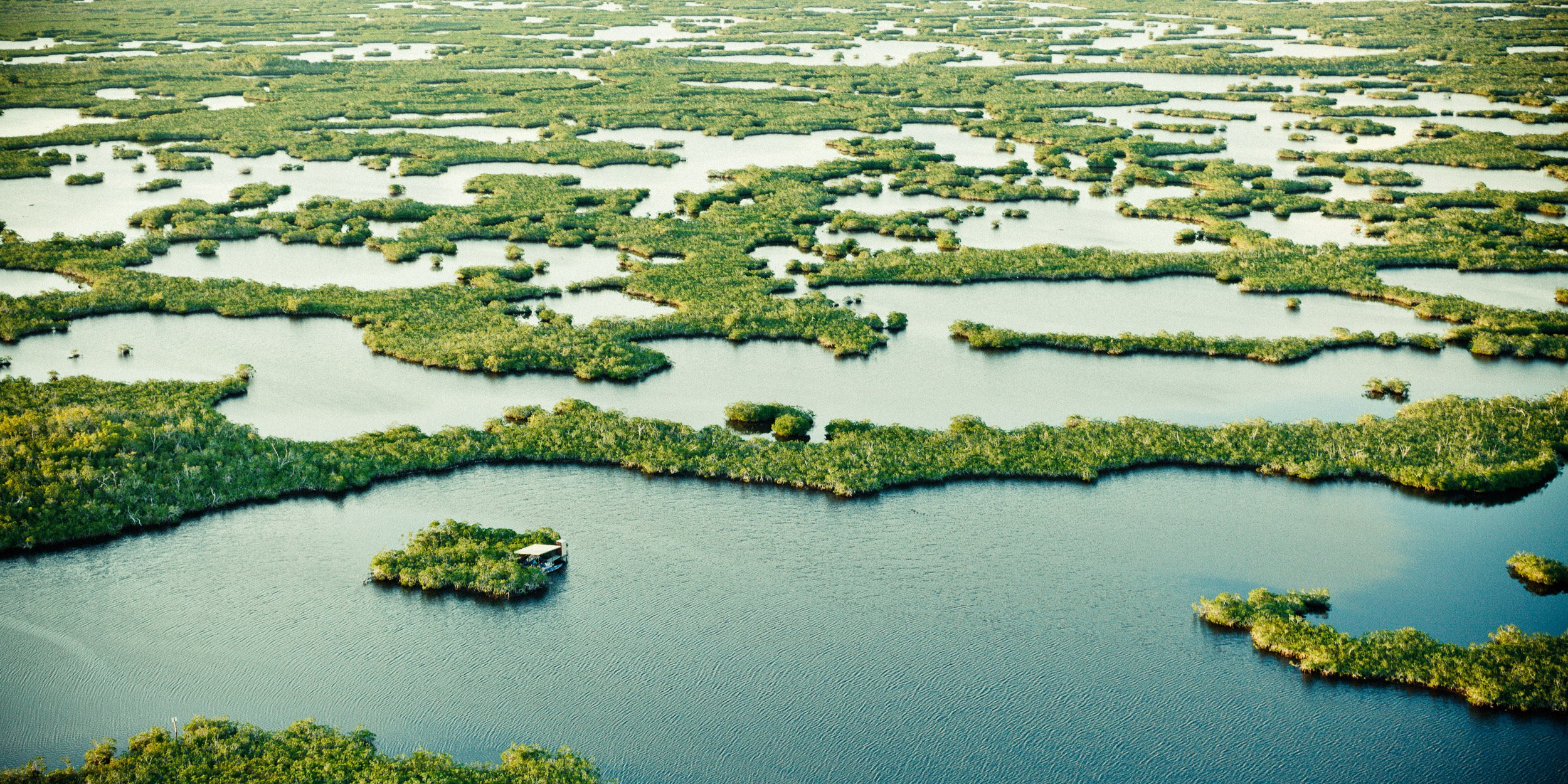 Everglades