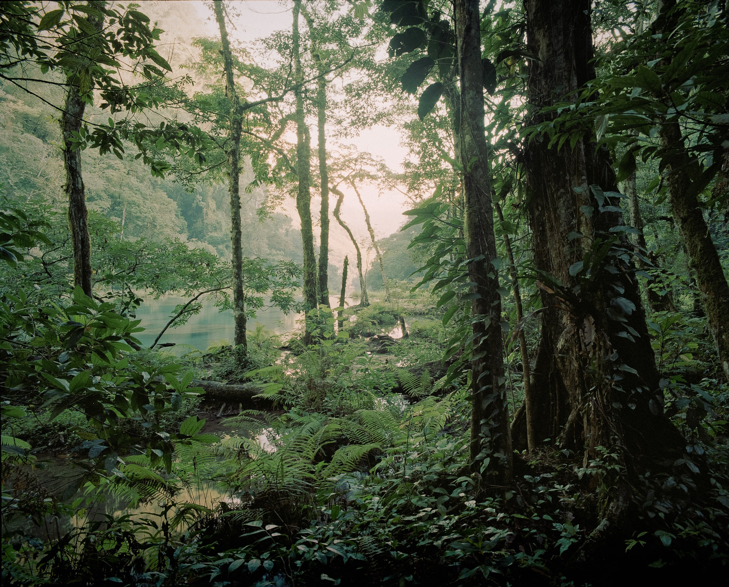 Semuc Champey