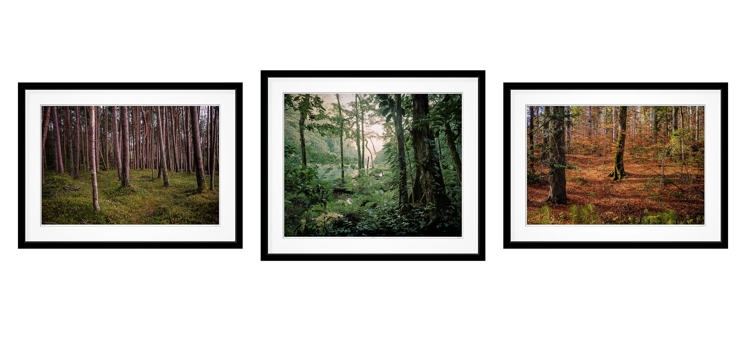 turley-arboretum-tryptich.jpg