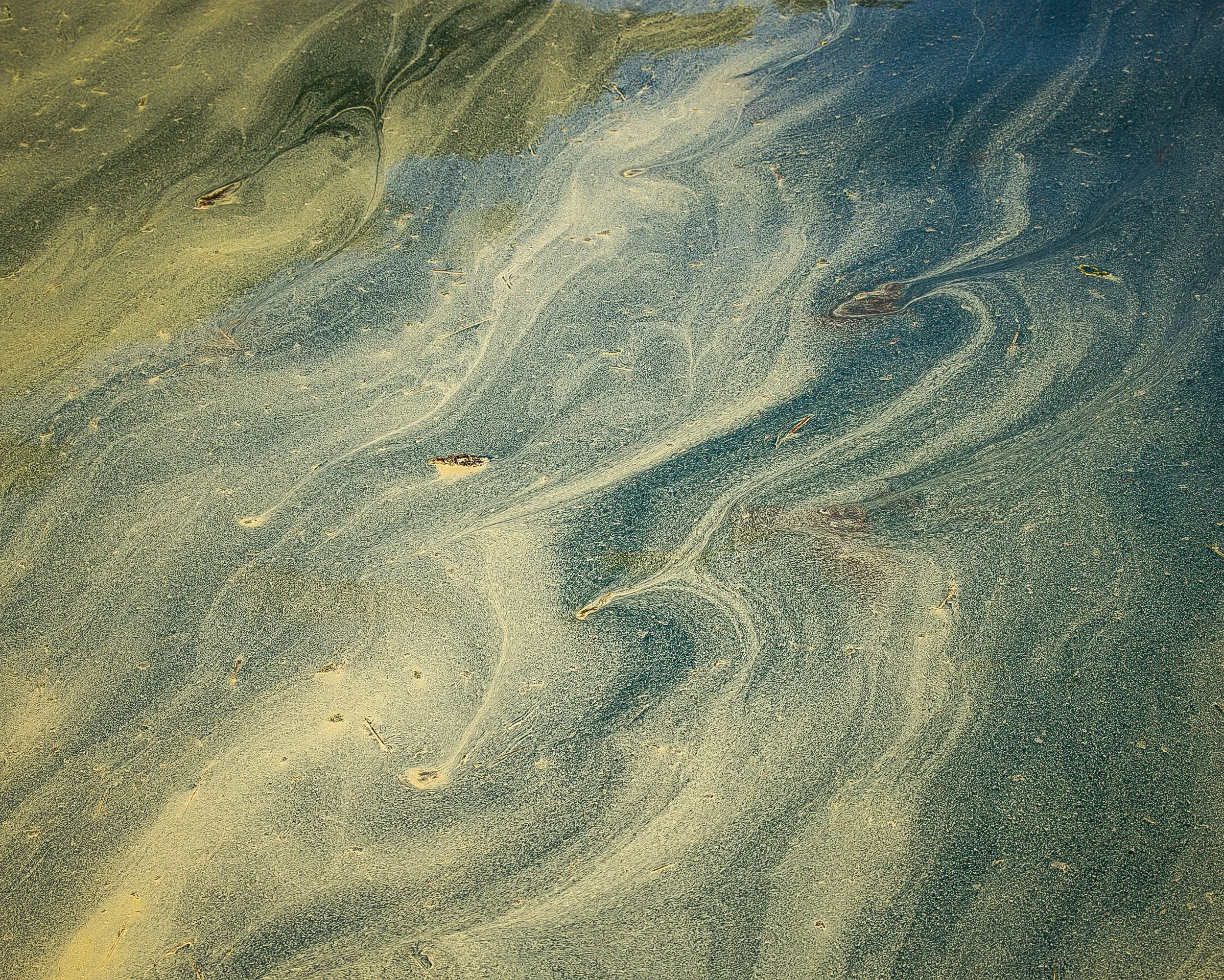 pollen
