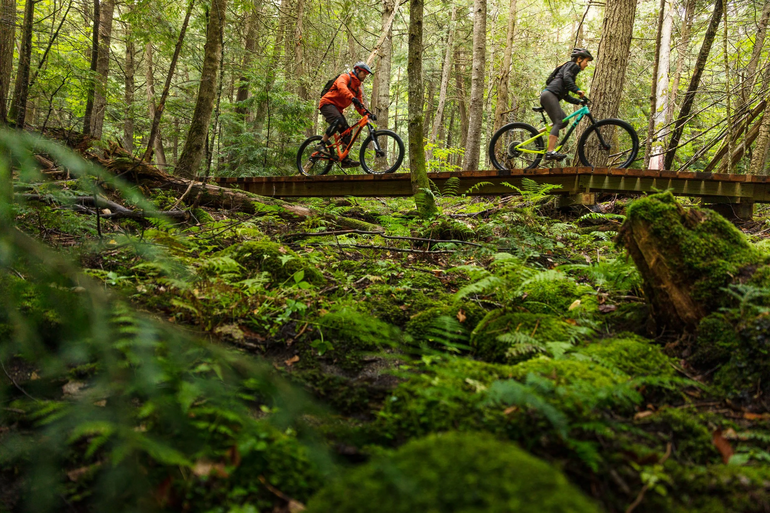 Maine Tourism