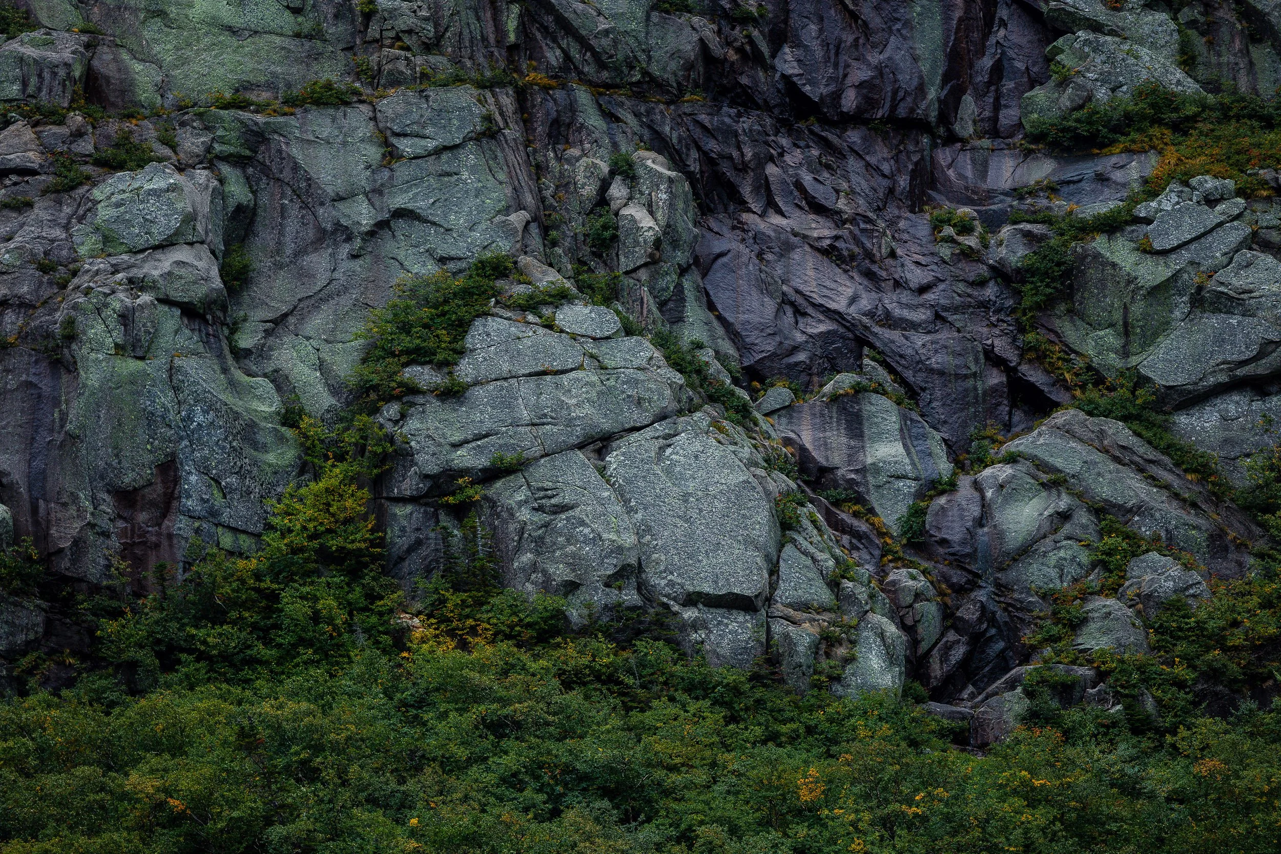 turley-BVK-MT-20190915-17523.jpg
