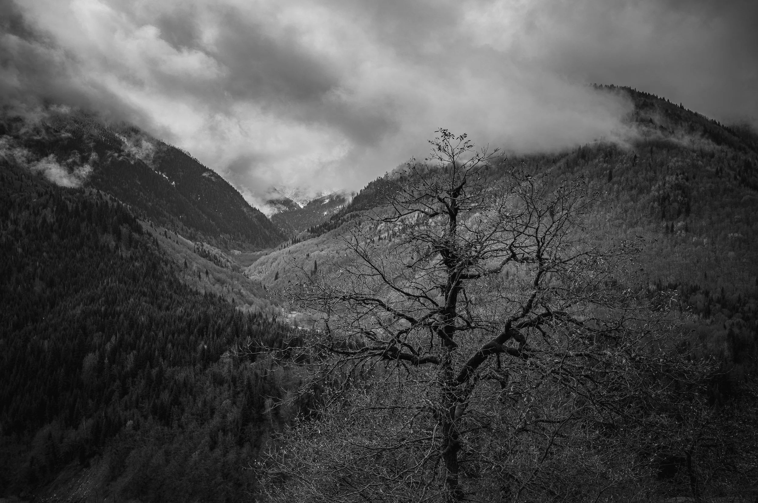 turley-20260404-LM11-1000926bw.jpg