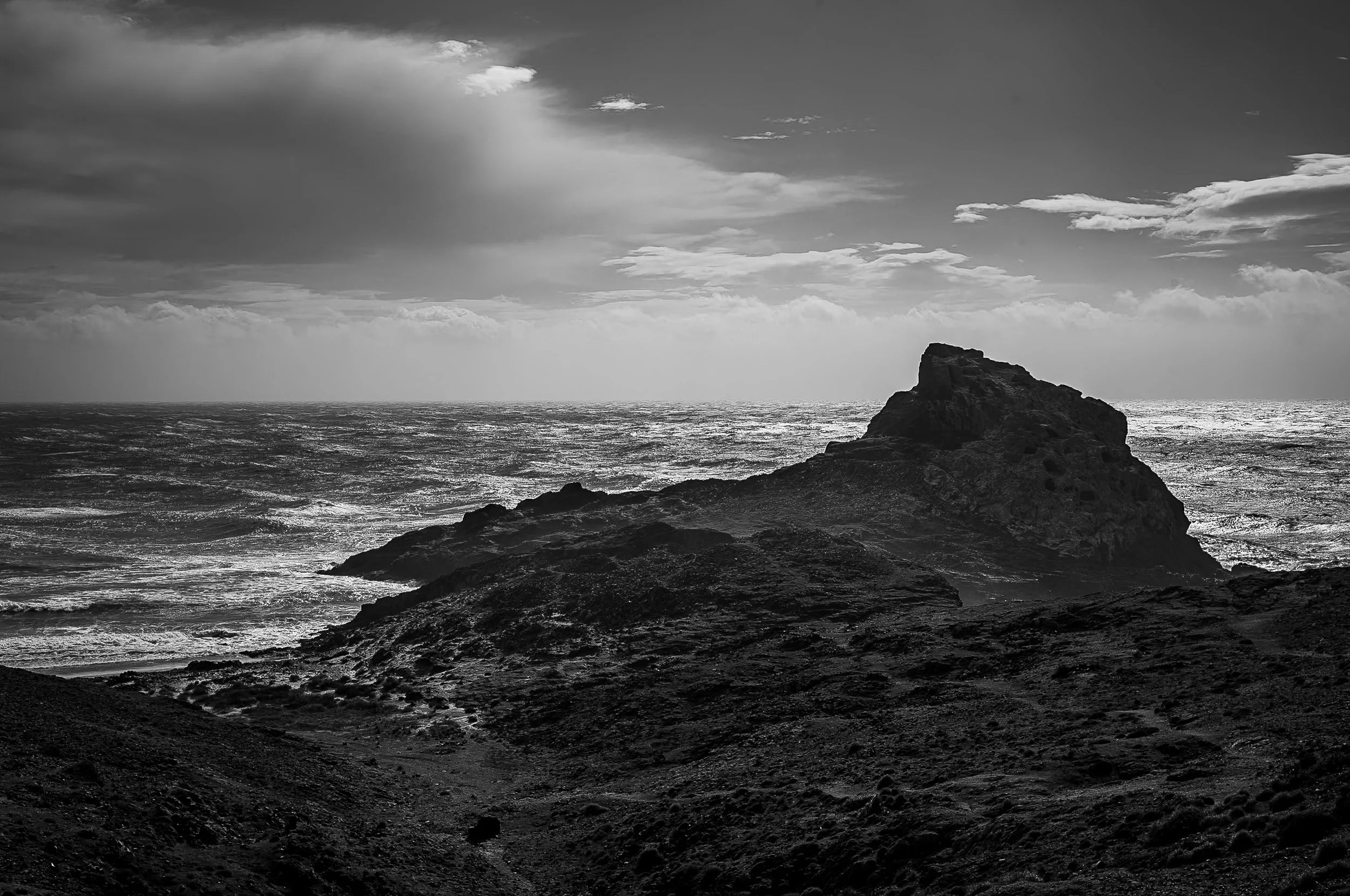 turley-20260125-LM11-1004498bw.jpg