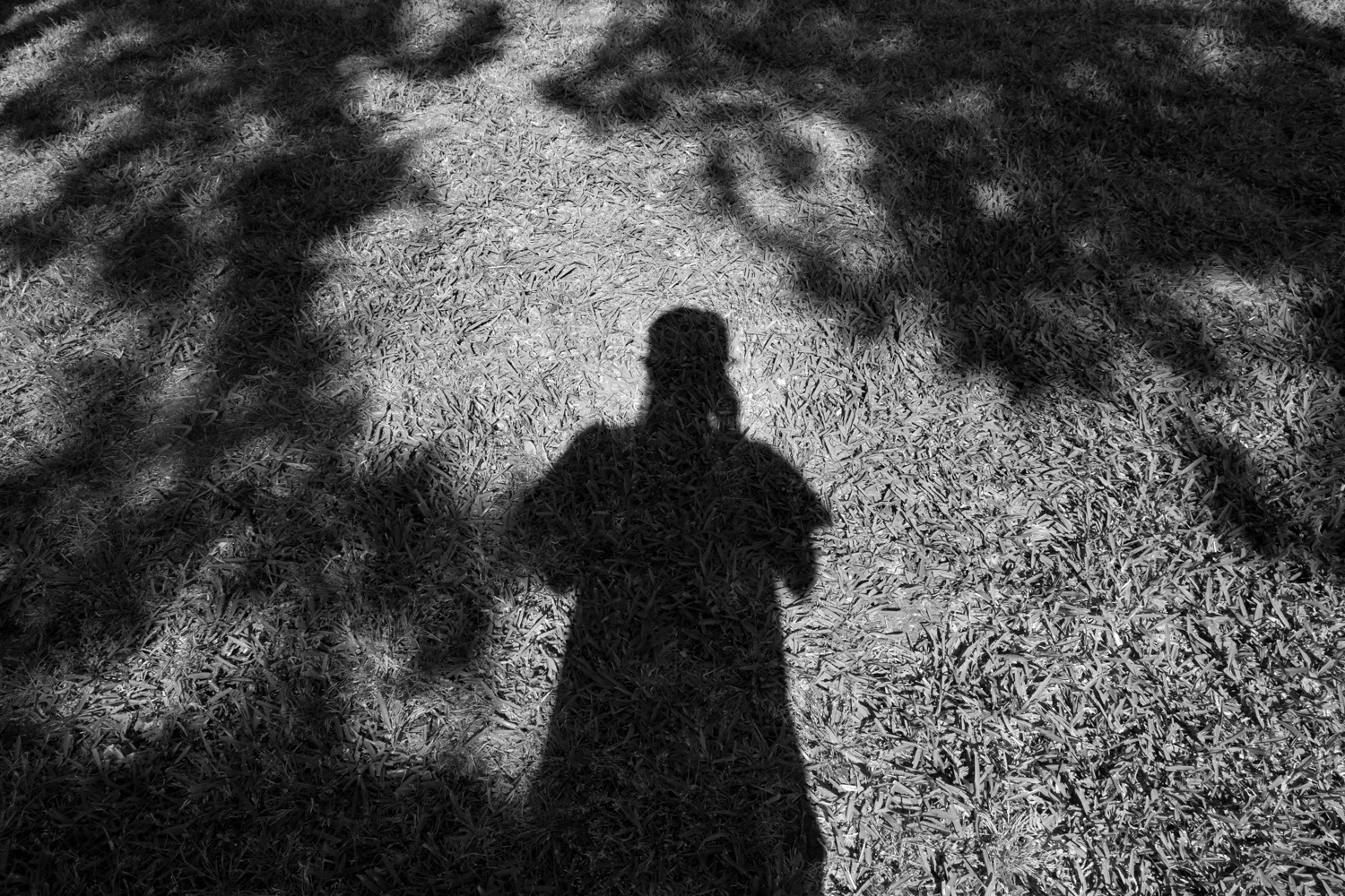 analysis-of-the-psychoselfie-by-spencer-young-10