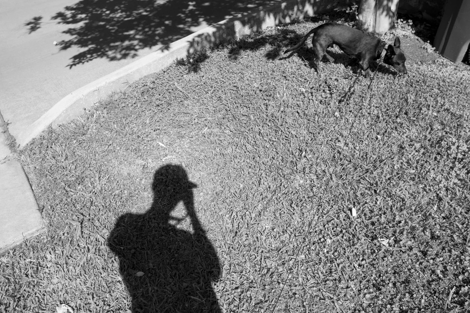 analysis-of-the-psychoselfie-by-spencer-young-12