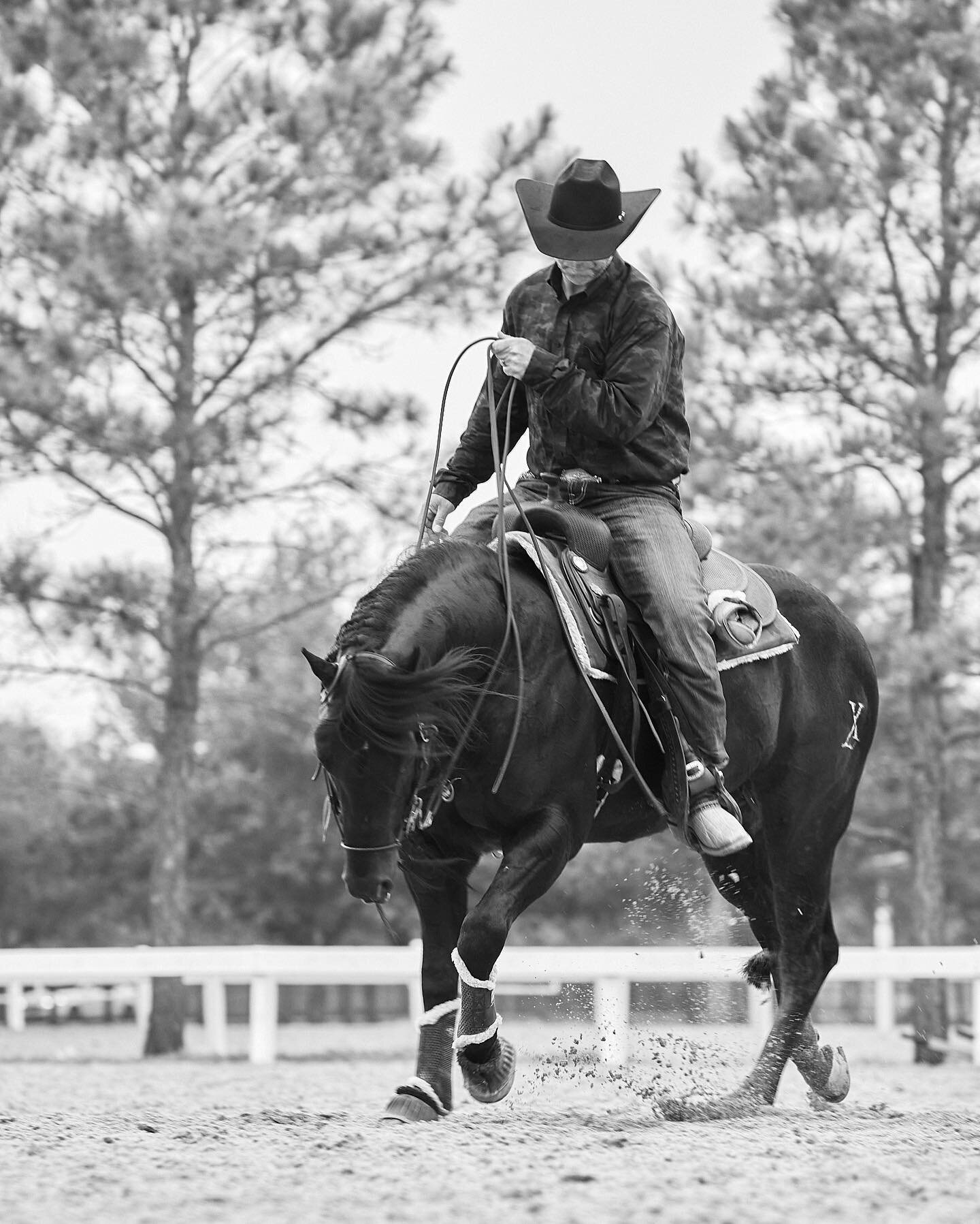 One of my favorite recent frames #nationalreiningbreedersclassic