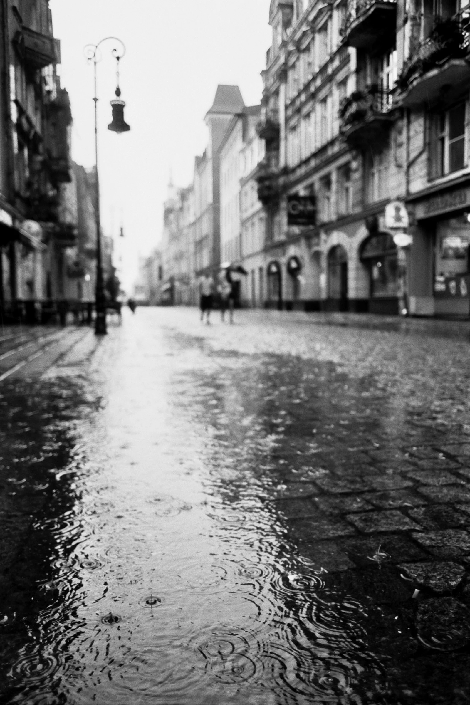 ---_0308.jpg