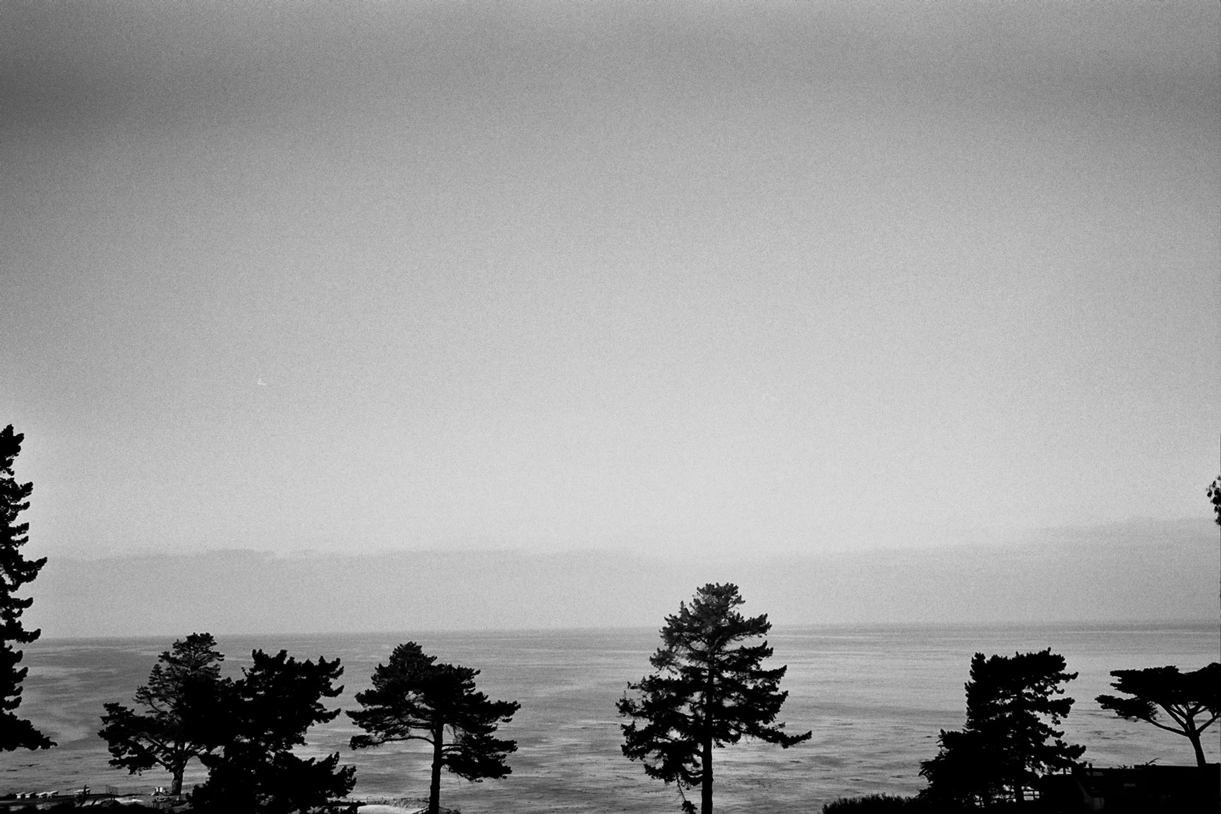 _32_0261.jpg