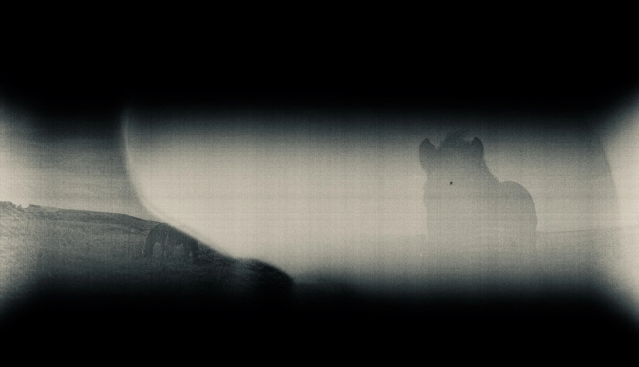 12C2FDD6-2833-4BB8-B2F0-A2D9615E819B.jpeg