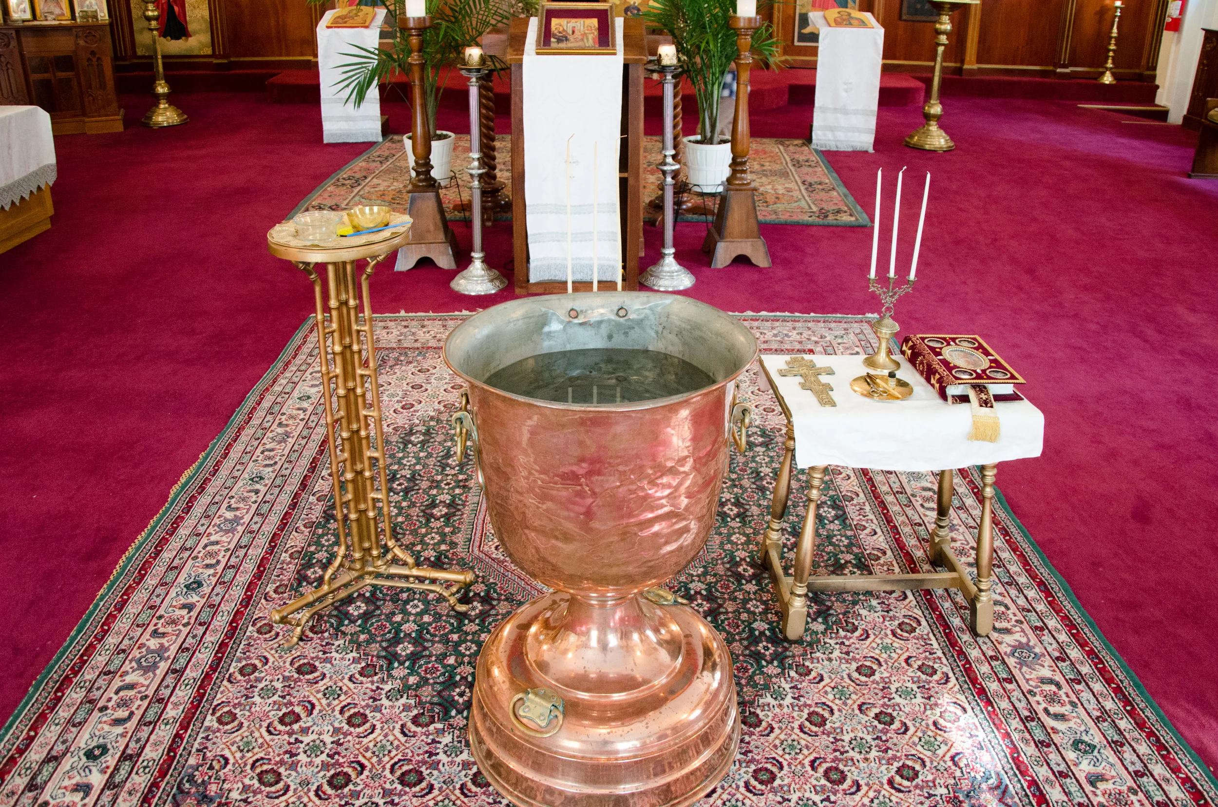DSC_7192.jpg
