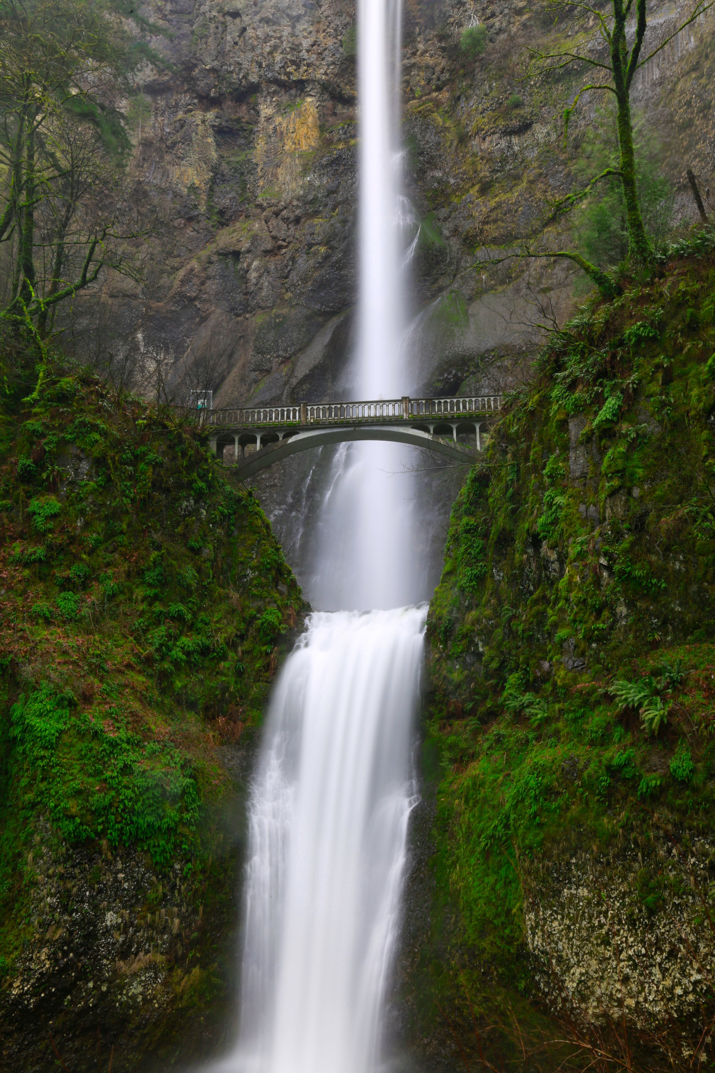 multnomahfalls.jpg