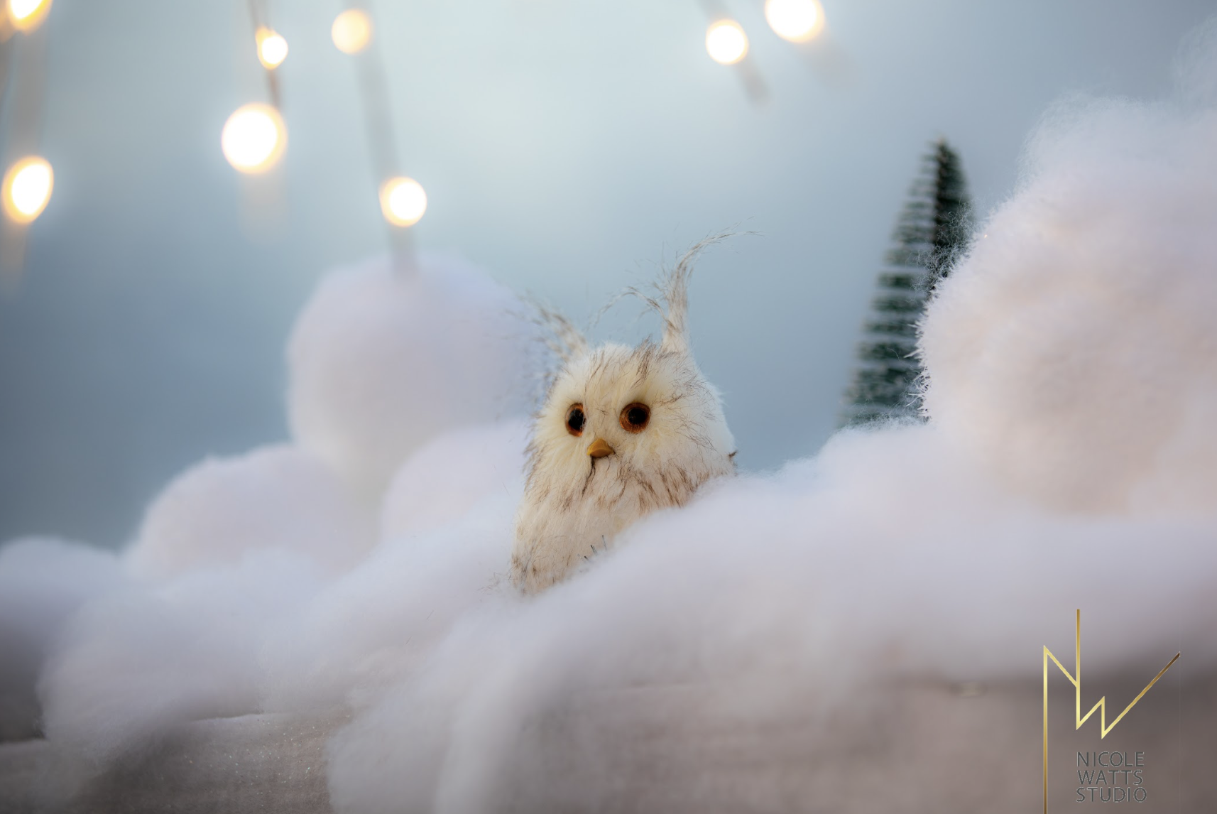 Screenshot 2025-12-02 at 8.01.21 AM.png