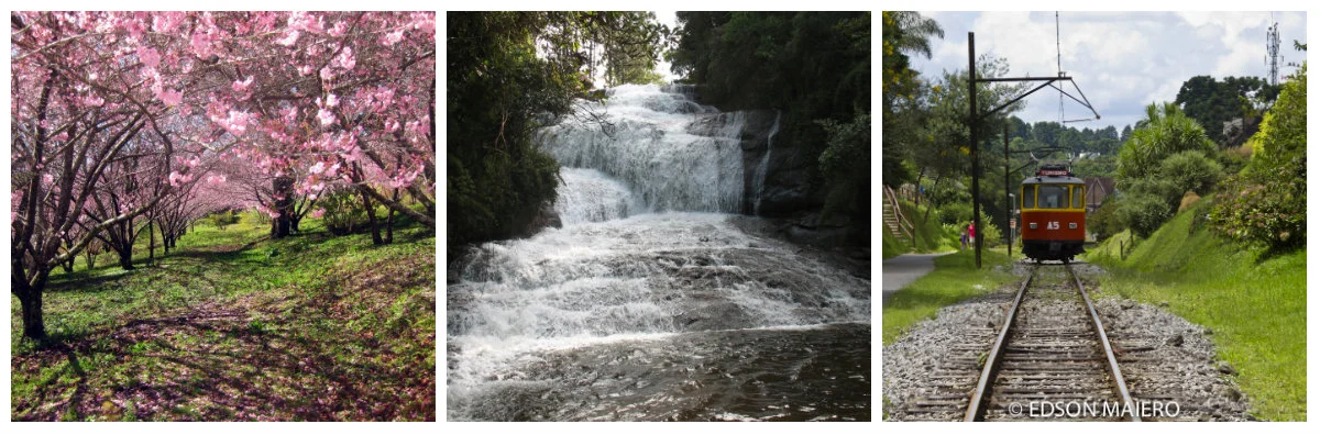 Imagens Campos do Jordão