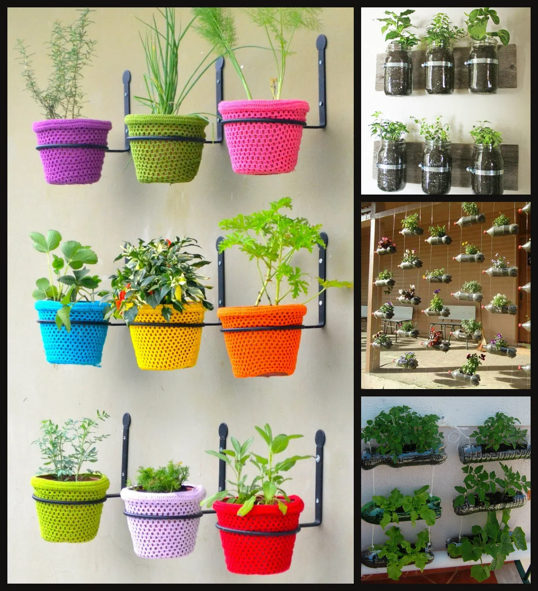 Hortinha indoor para temperinhos livres de agrotóxicos!