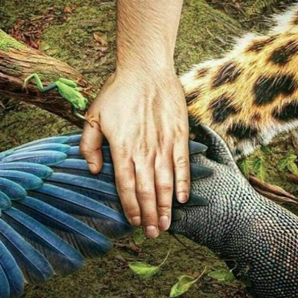 biodiversidade.jpg