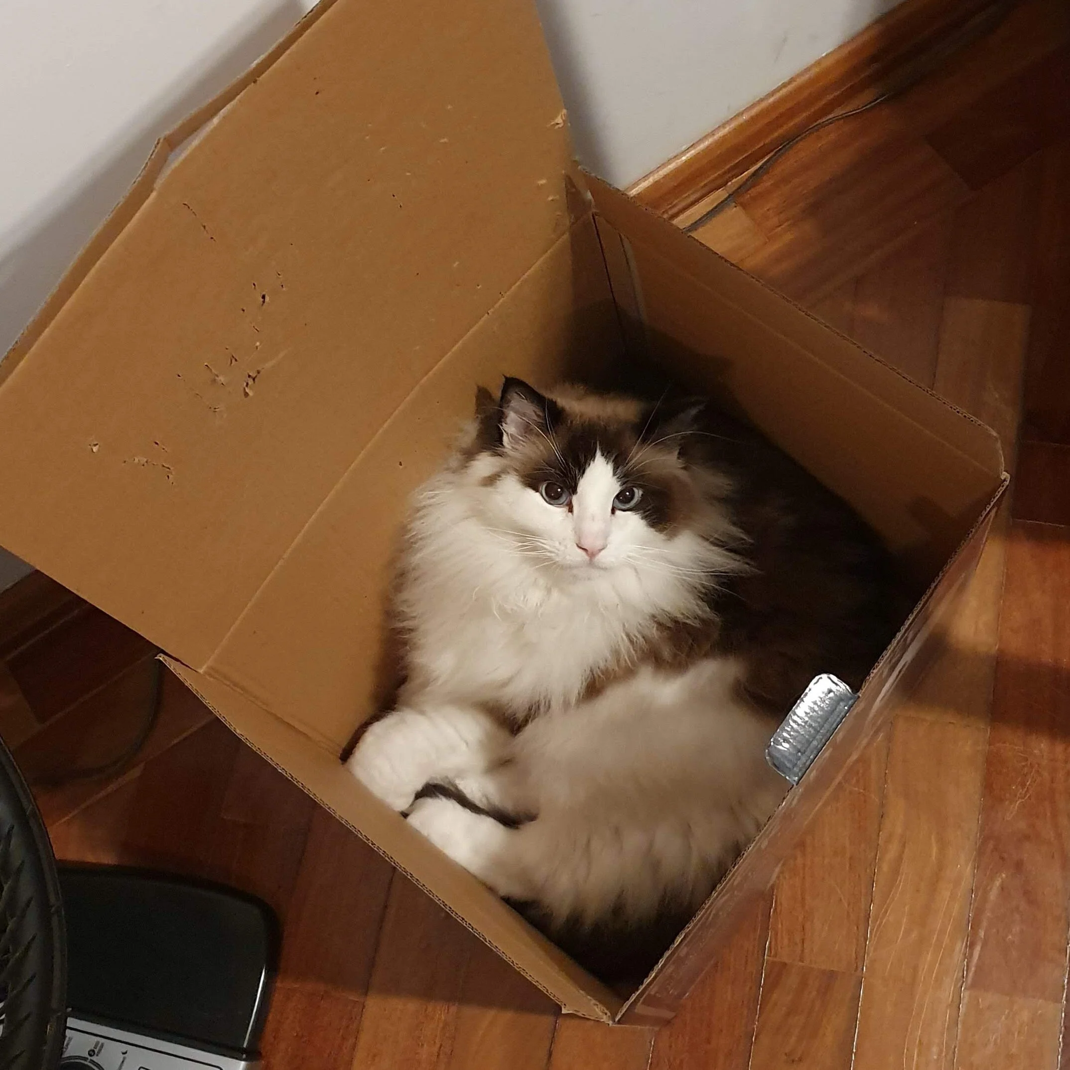 box.jpg