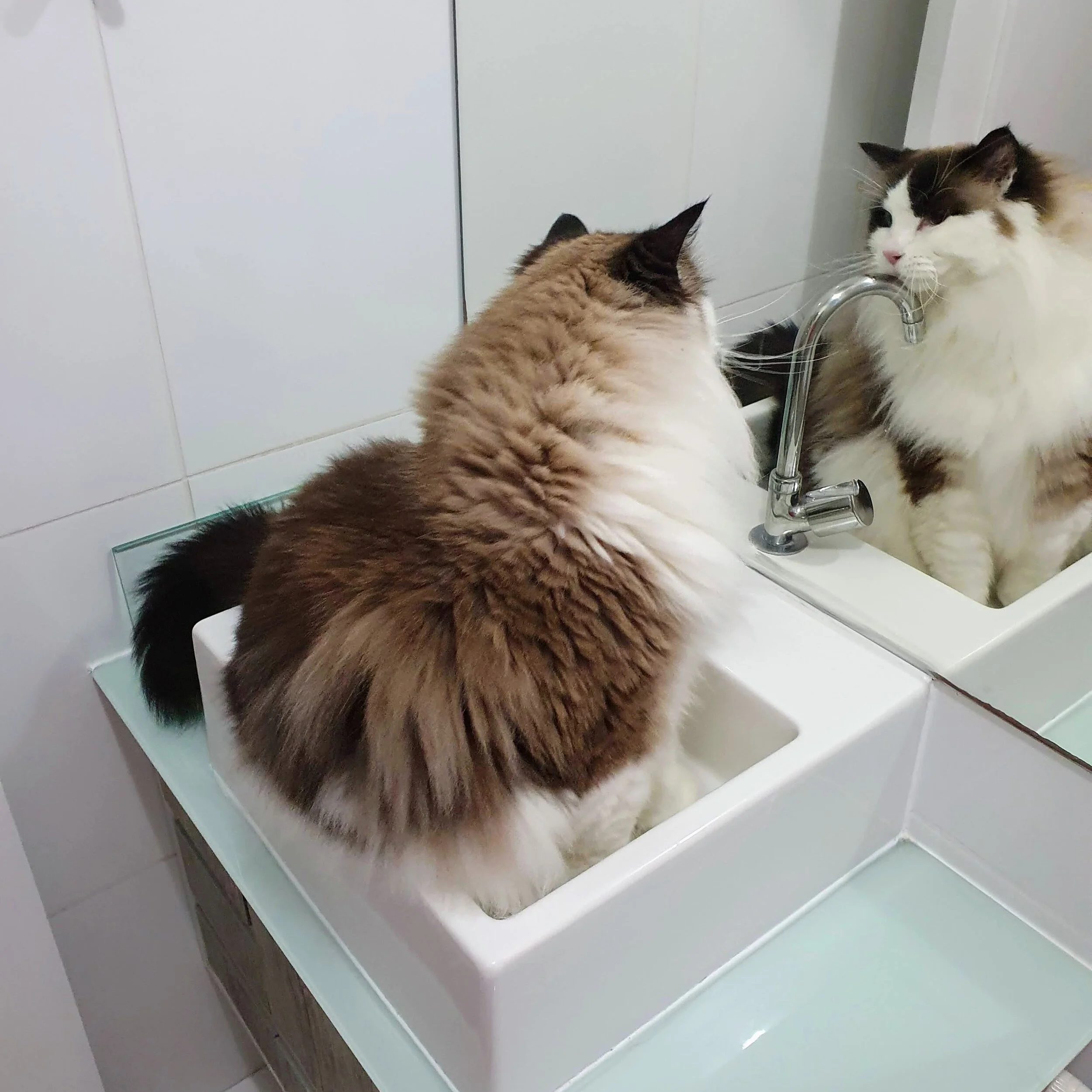 mirror.jpg