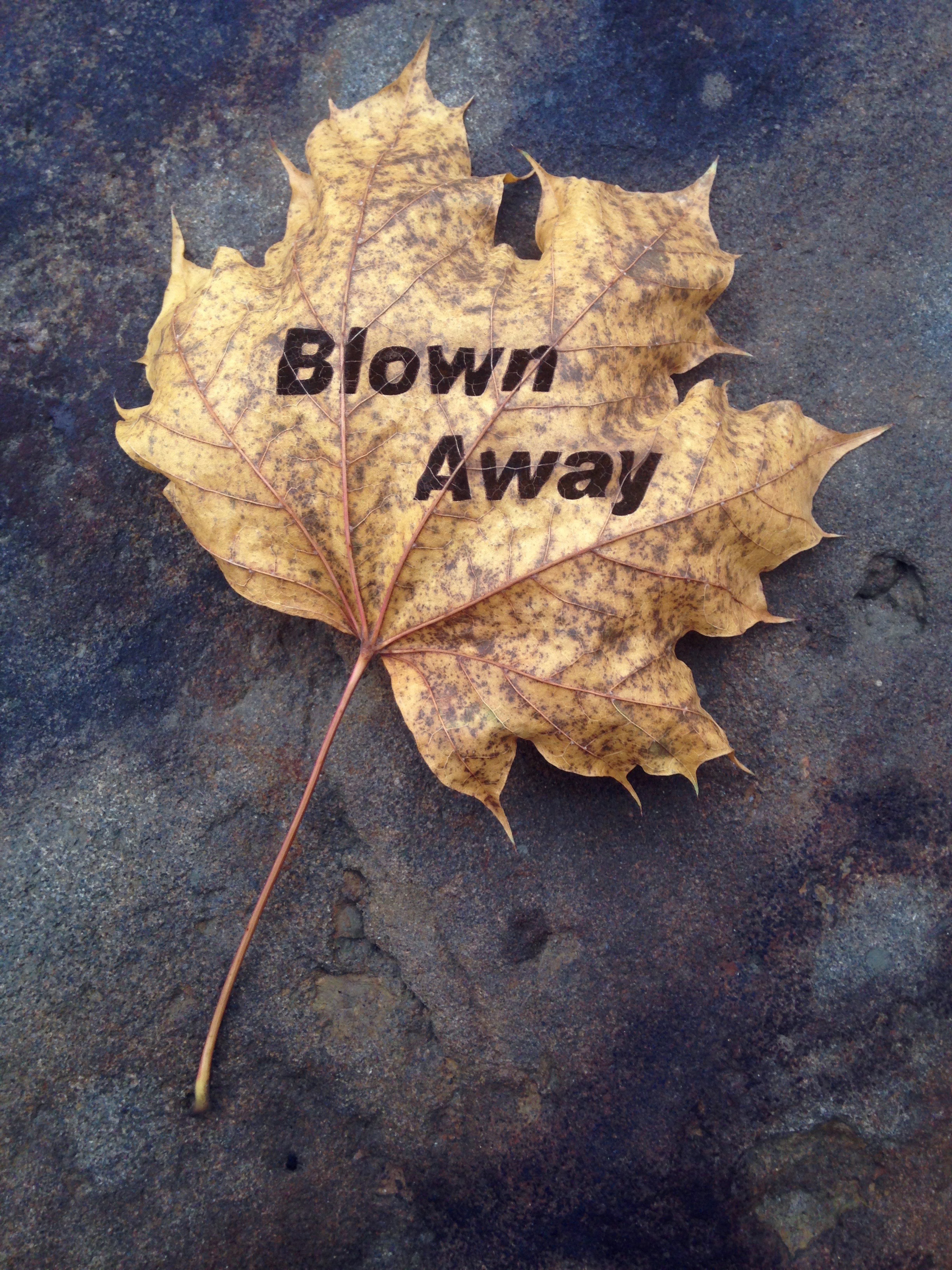 Blown Away 1 - Arial Black.jpeg