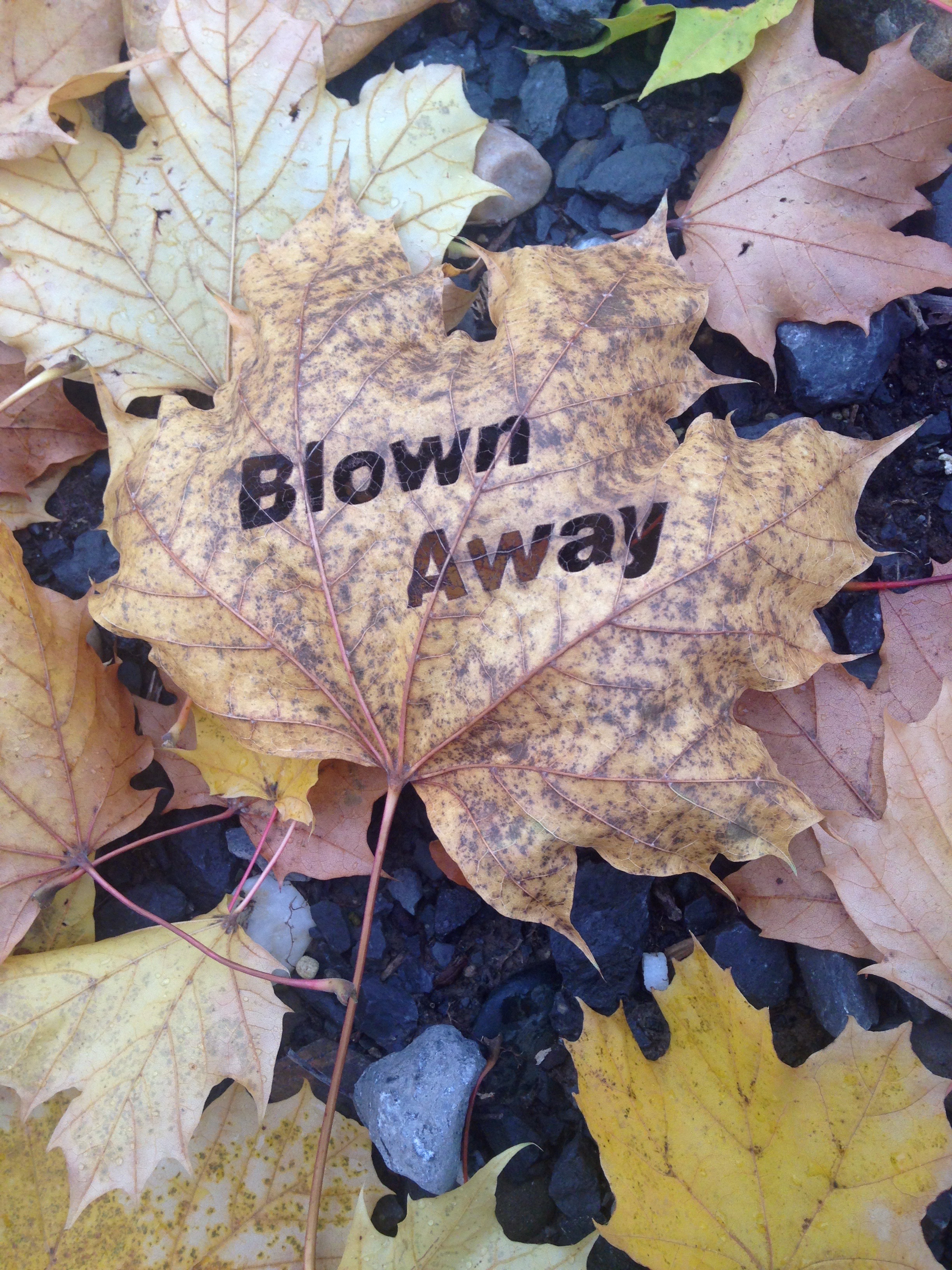Blown Away 2 - Arial Black.jpeg