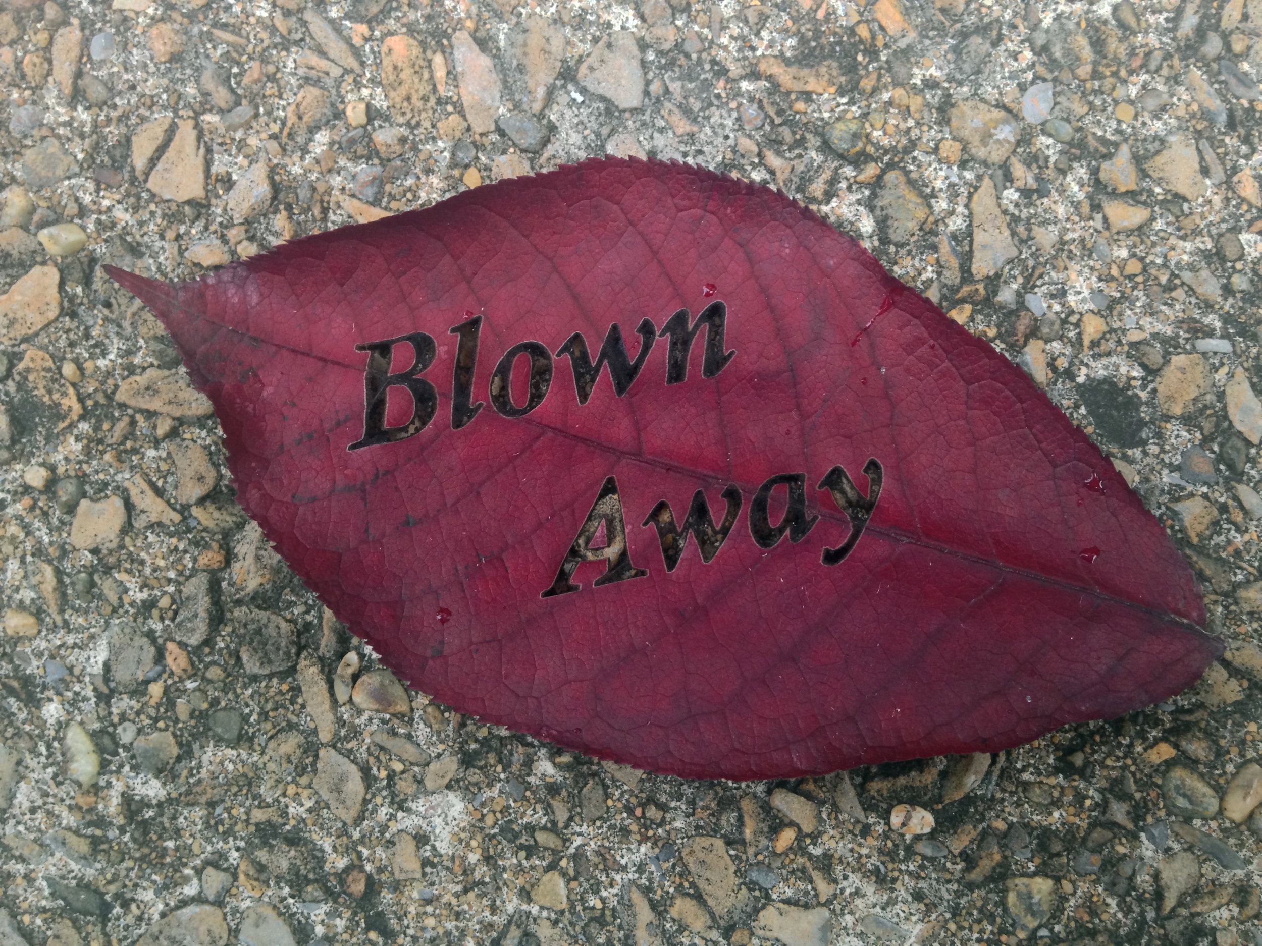 Blown Away 5 - Calisto.jpeg