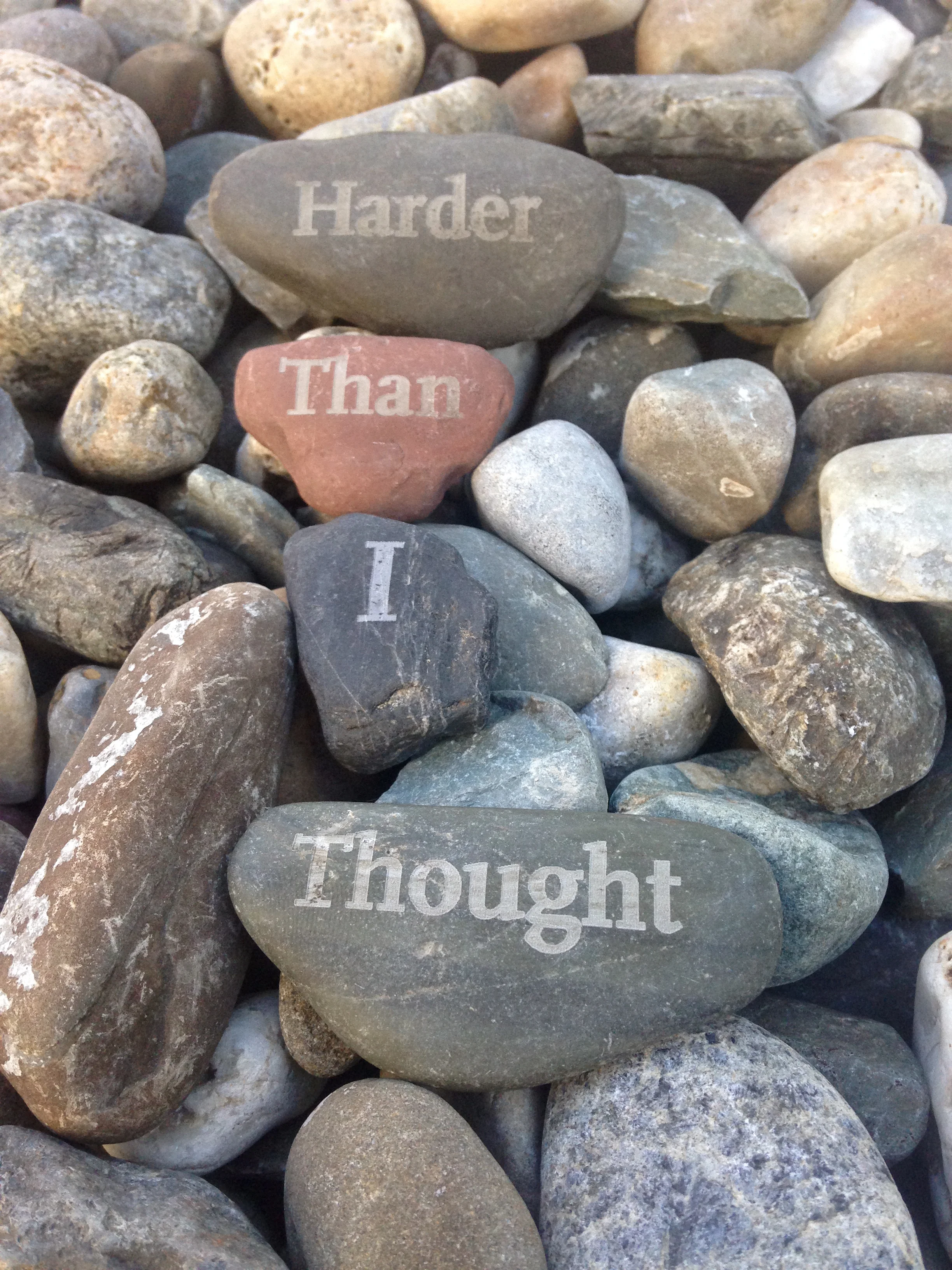 Harder Than I Thought - Scala (RPI).JPG