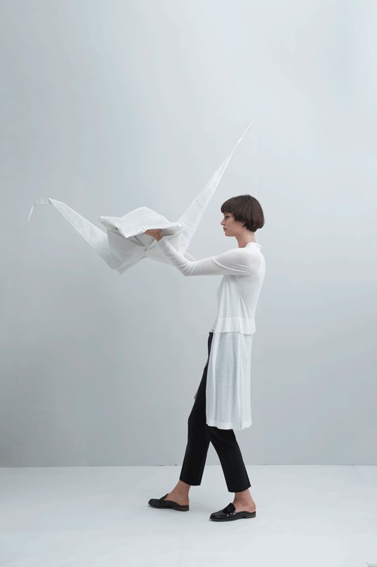 SOH17SS1868-800a.gif